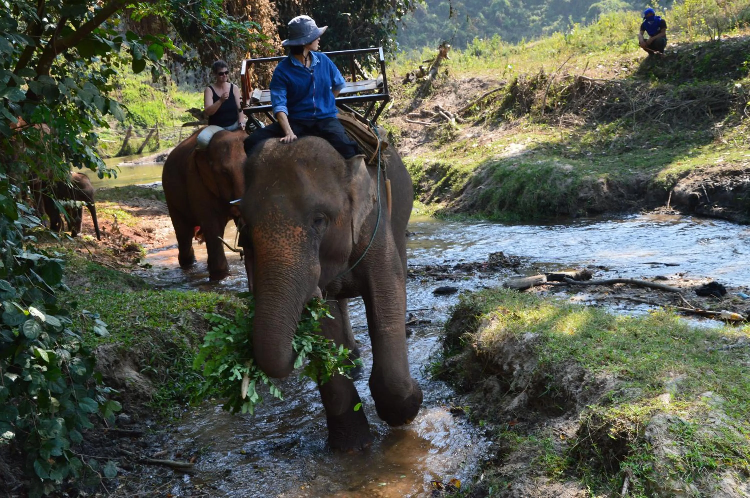 Activities in Maewin Guesthouse and Resort