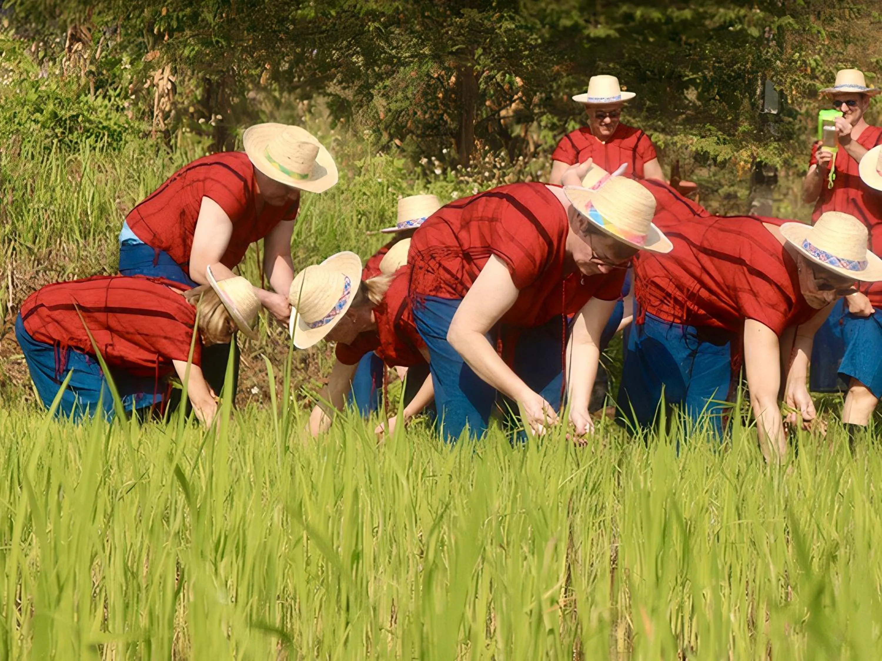 Activities in Maewin Guesthouse and Resort