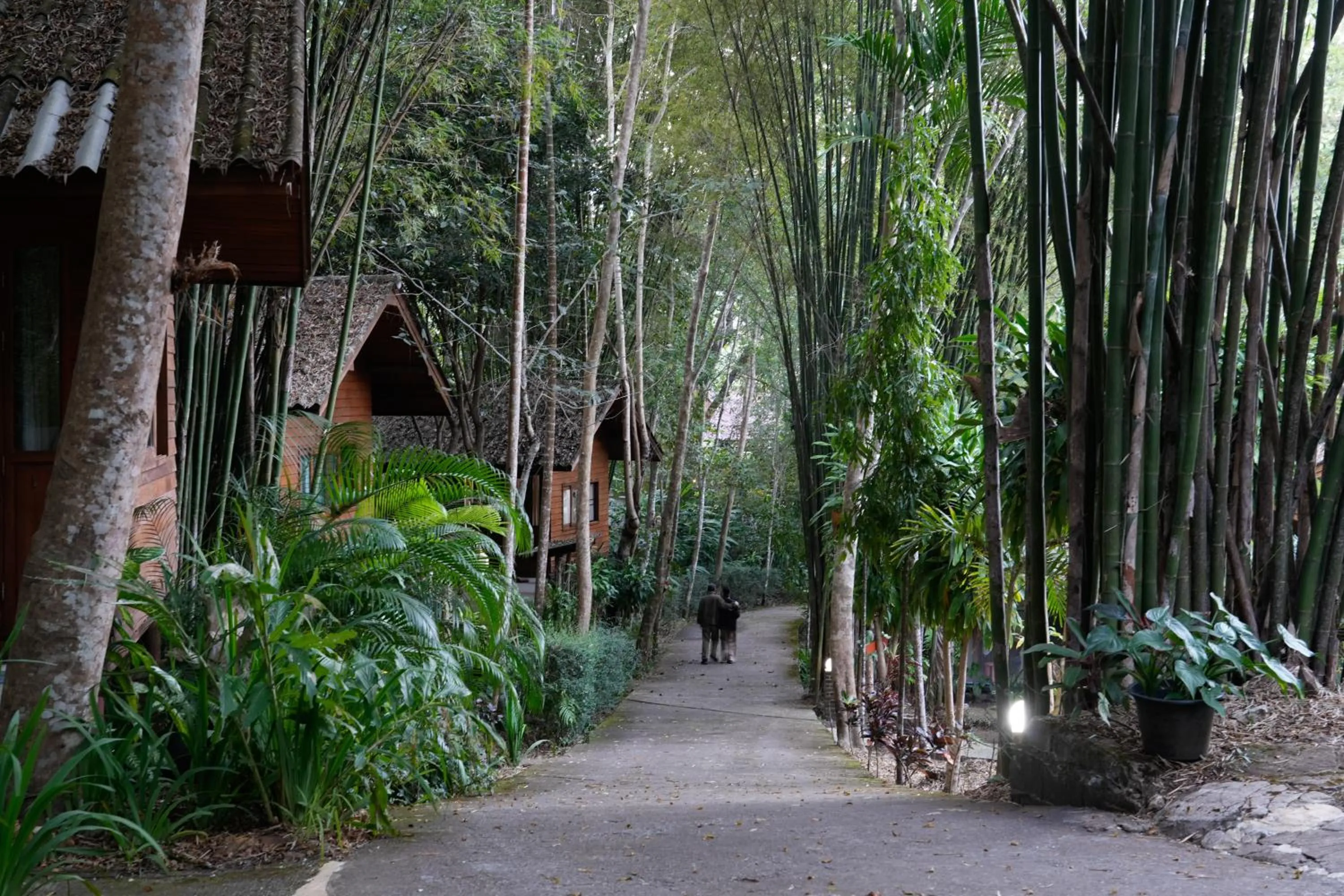 Property building in Maewin Resort