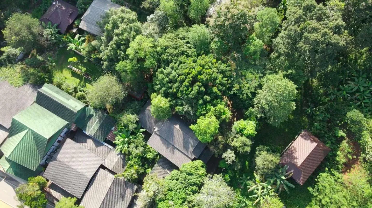 Natural landscape in Maewin Guesthouse and Resort