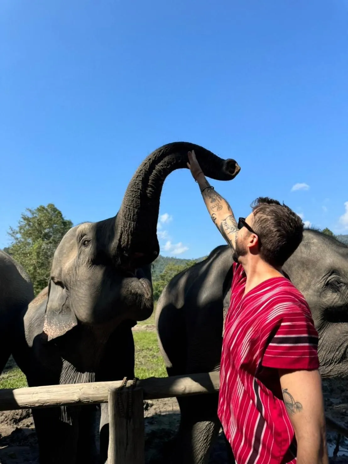 Activities in Maewin Resort