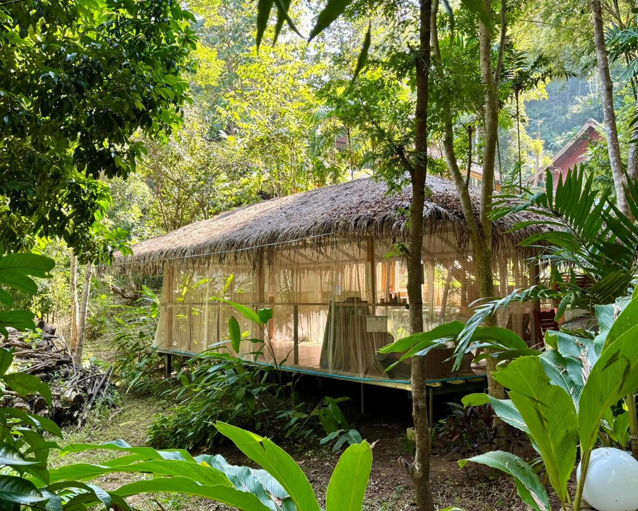 Activities in Maewin Guesthouse and Resort