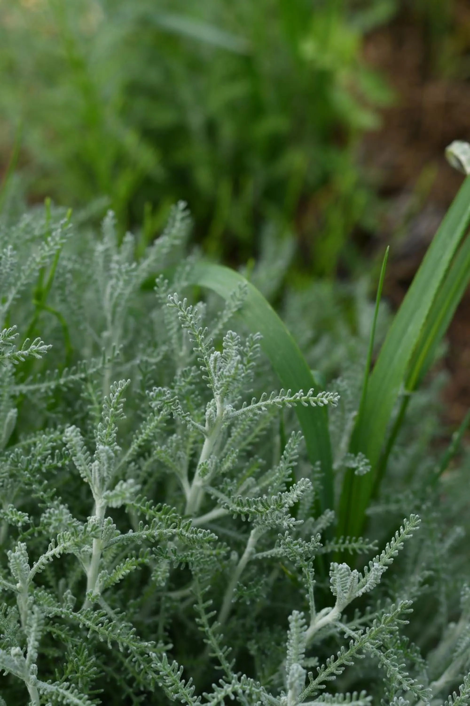 kitchen in Hotel Il Cervo, SPA & Wellness, Bike Hotel