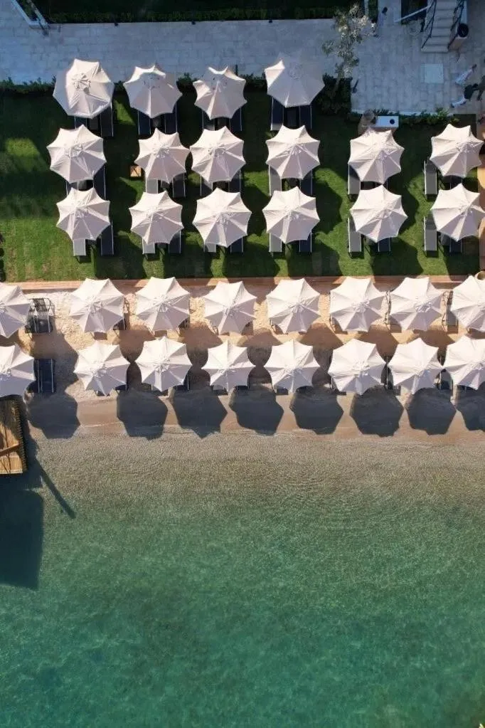 Pets in The Highlight Bodrum