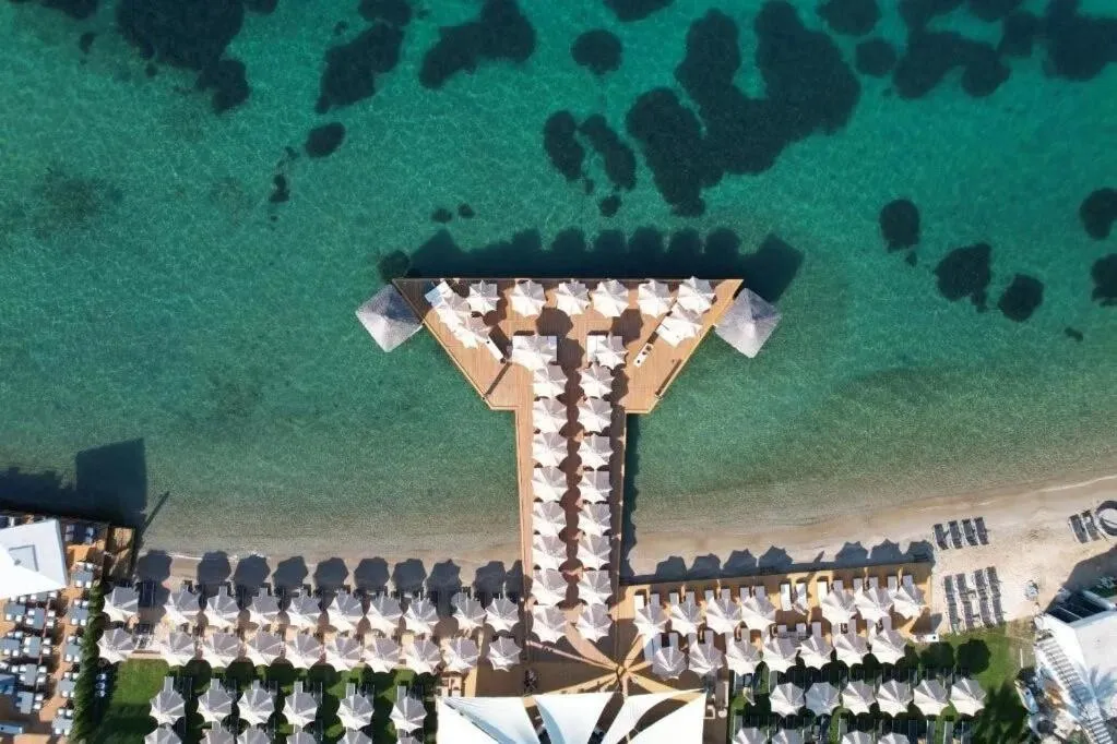 Pets in The Highlight Bodrum