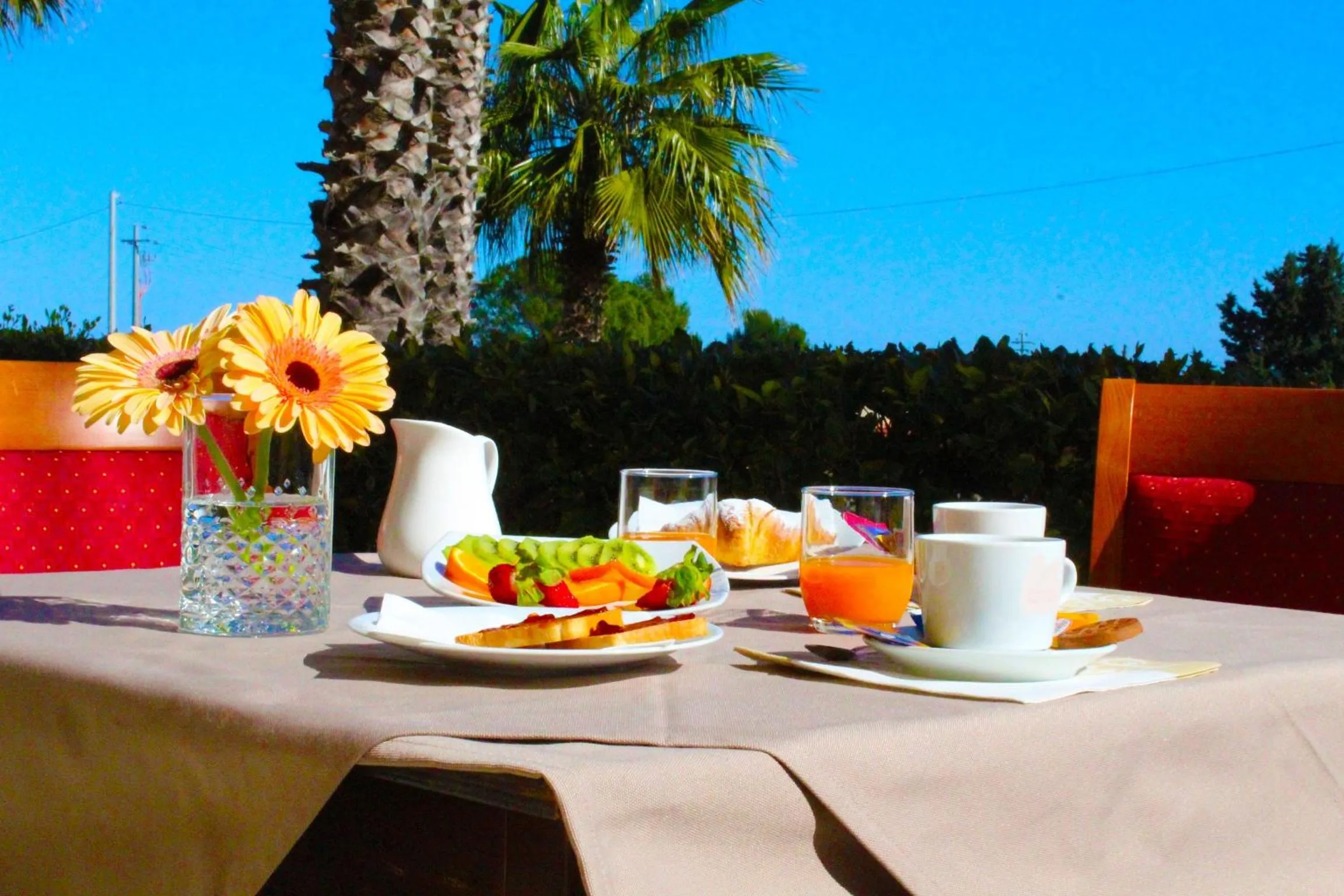 Food and drinks in Città Della Notte