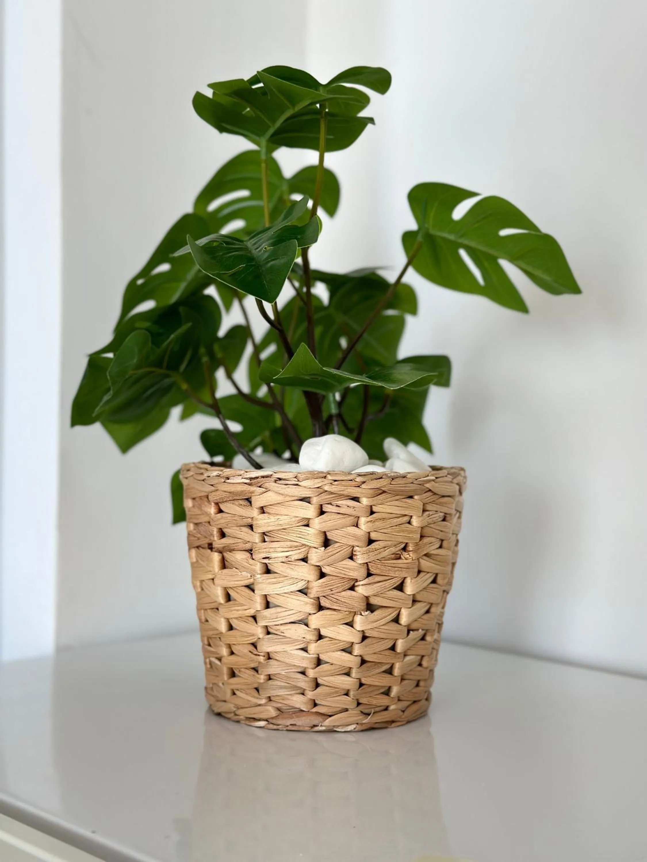 Decorative detail in Li Mango