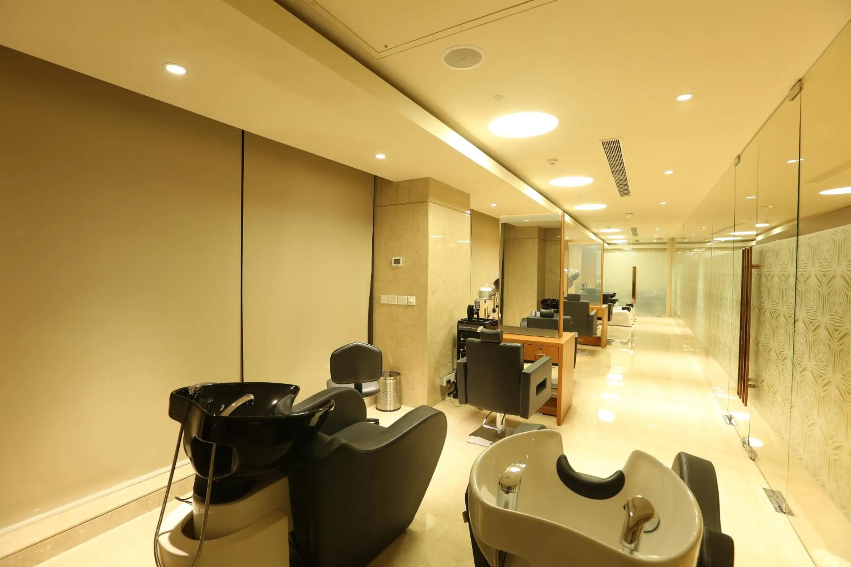 Spa and wellness centre/facilities in Feathers- A Radha Hotel, Chennai