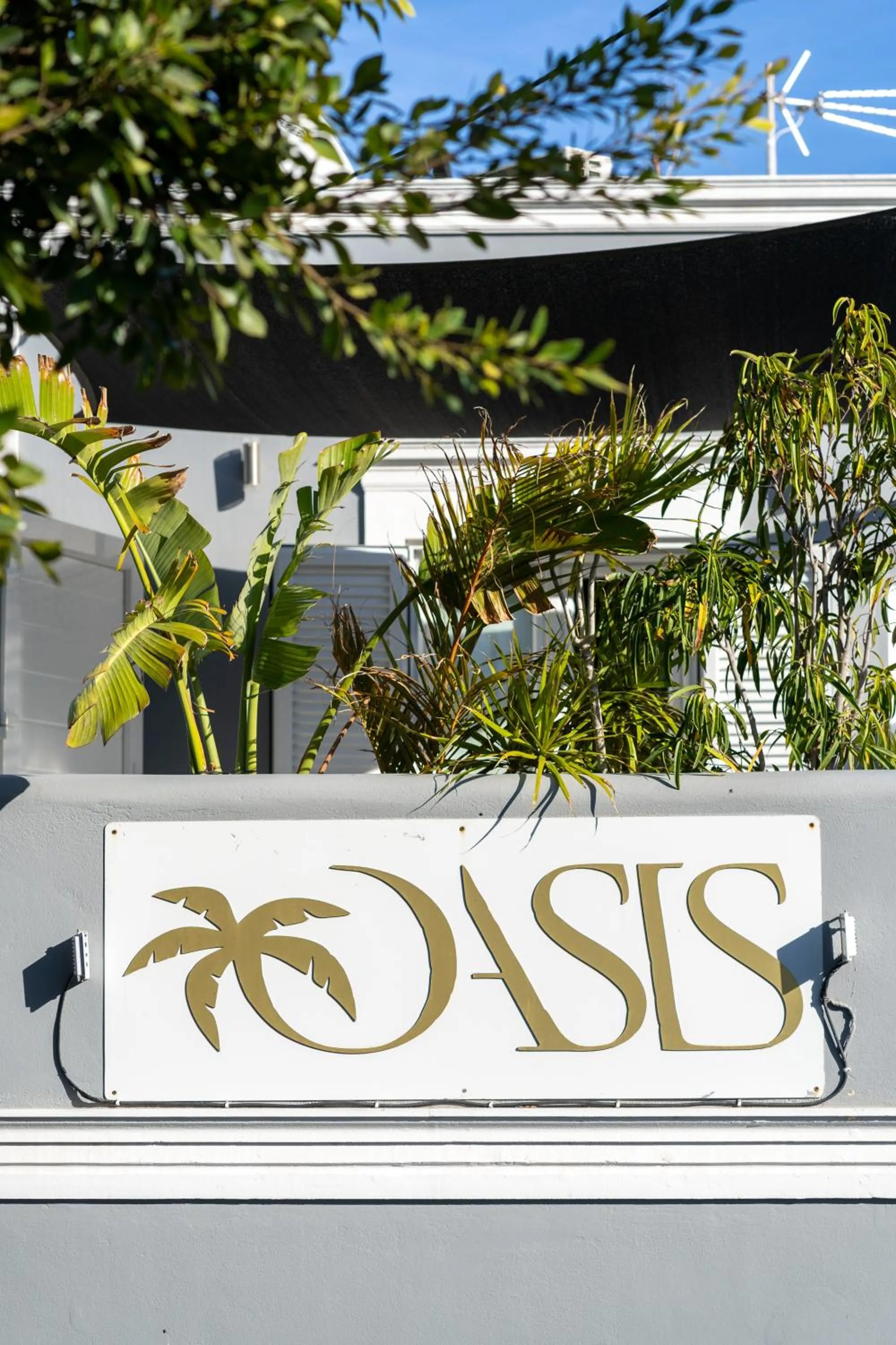 Decorative detail in Oasis Hotel