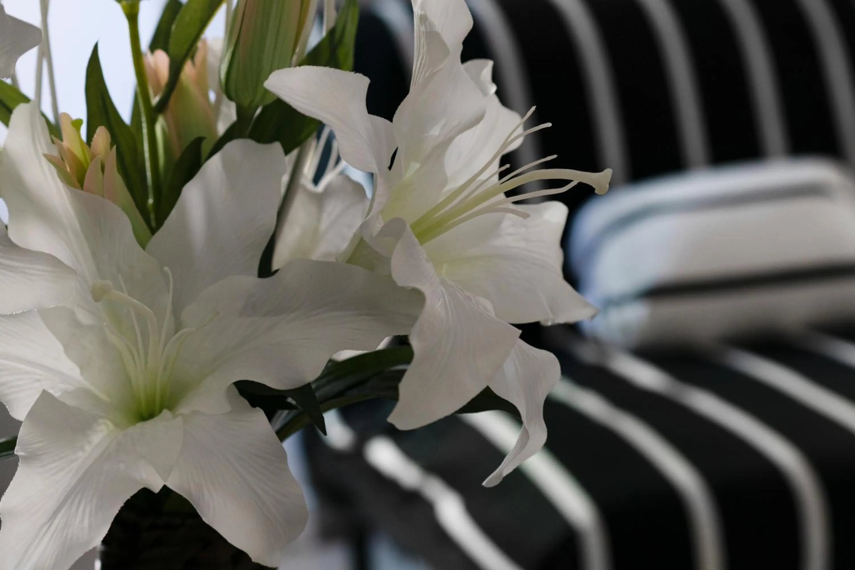 Decorative detail in Merulana Star