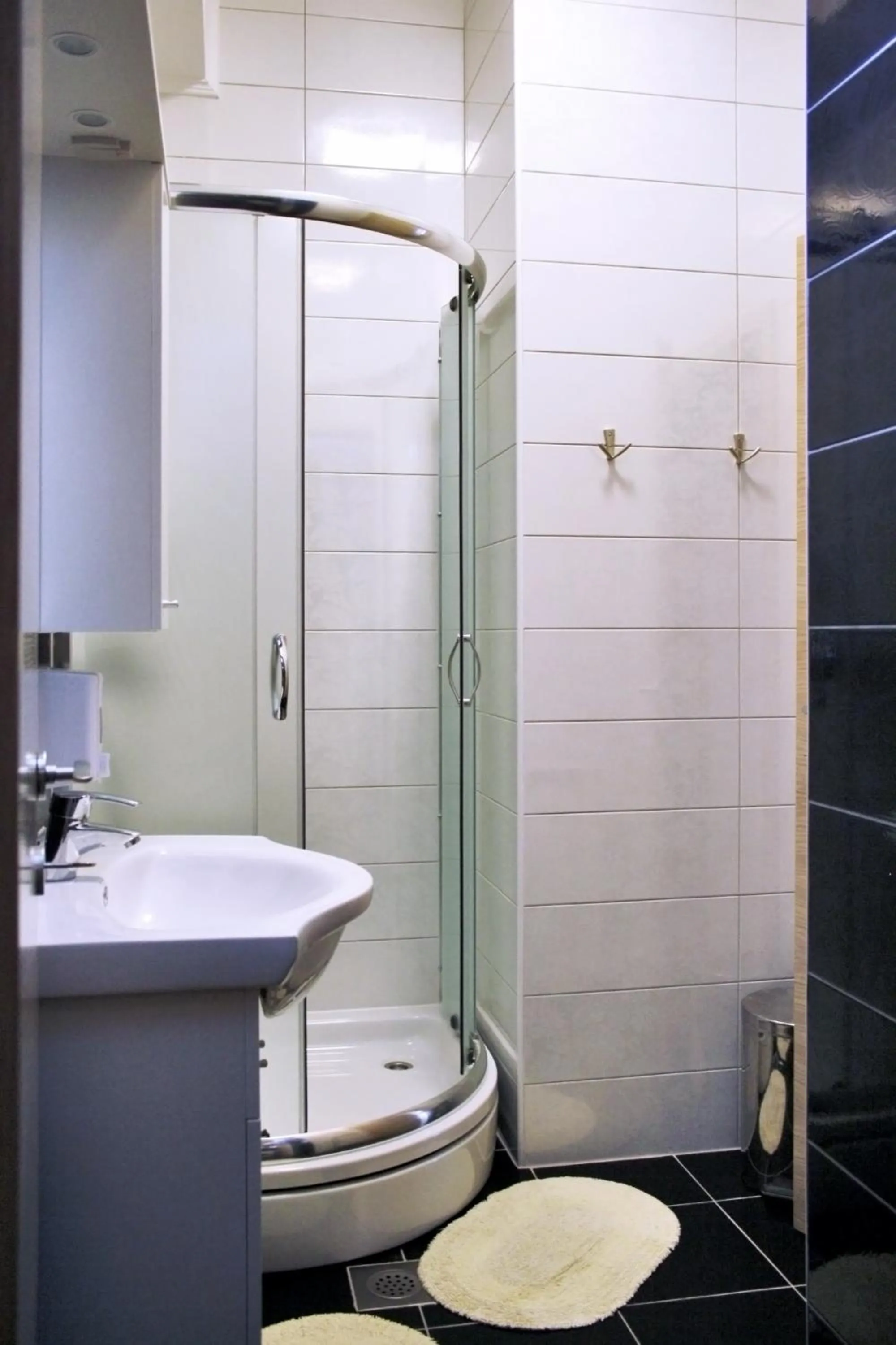 Shower in Rooms Fitea