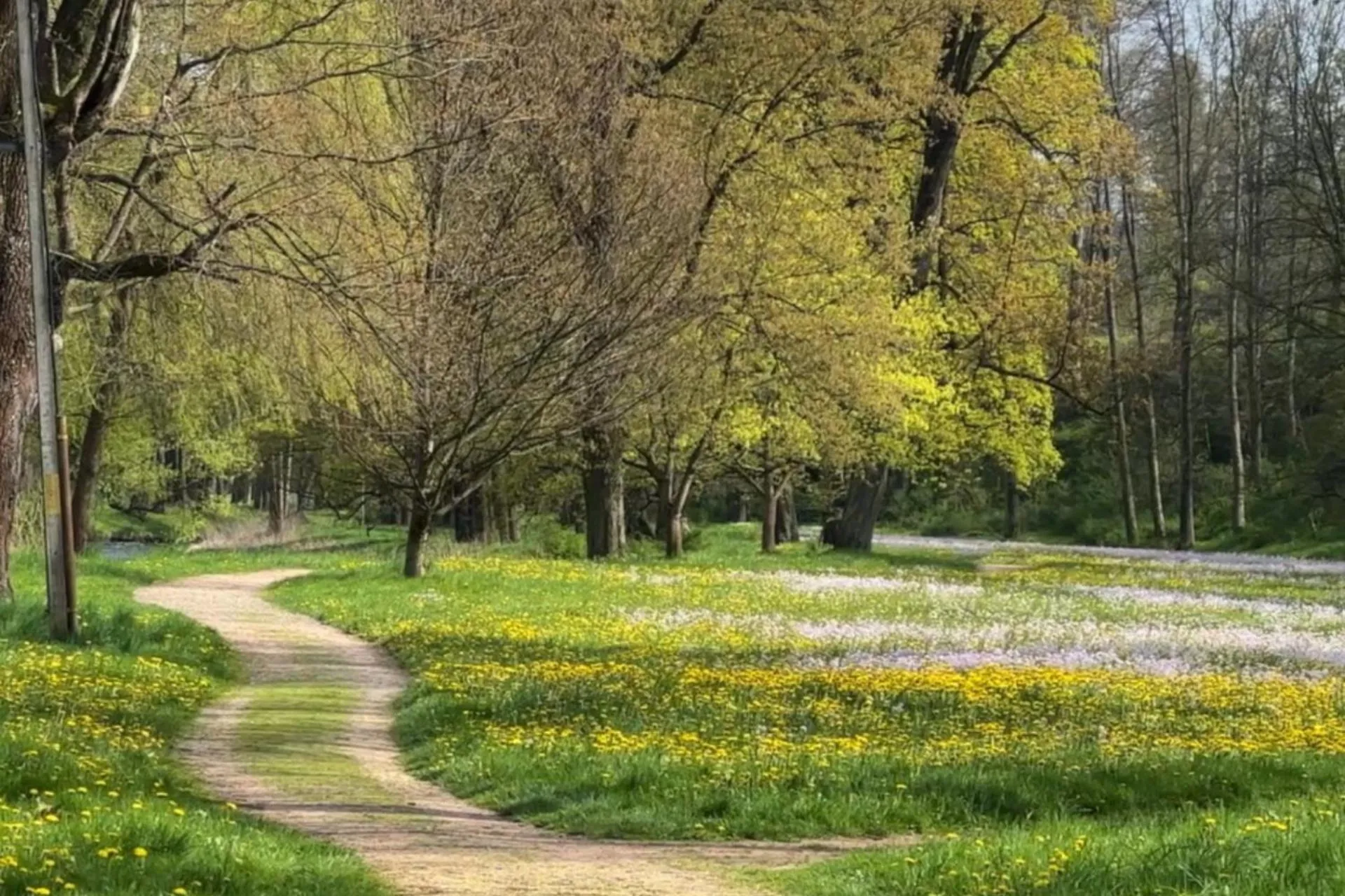 Other in Pałac Łomnica Karkonosze - Schloss Lomnitz Riesengebirge