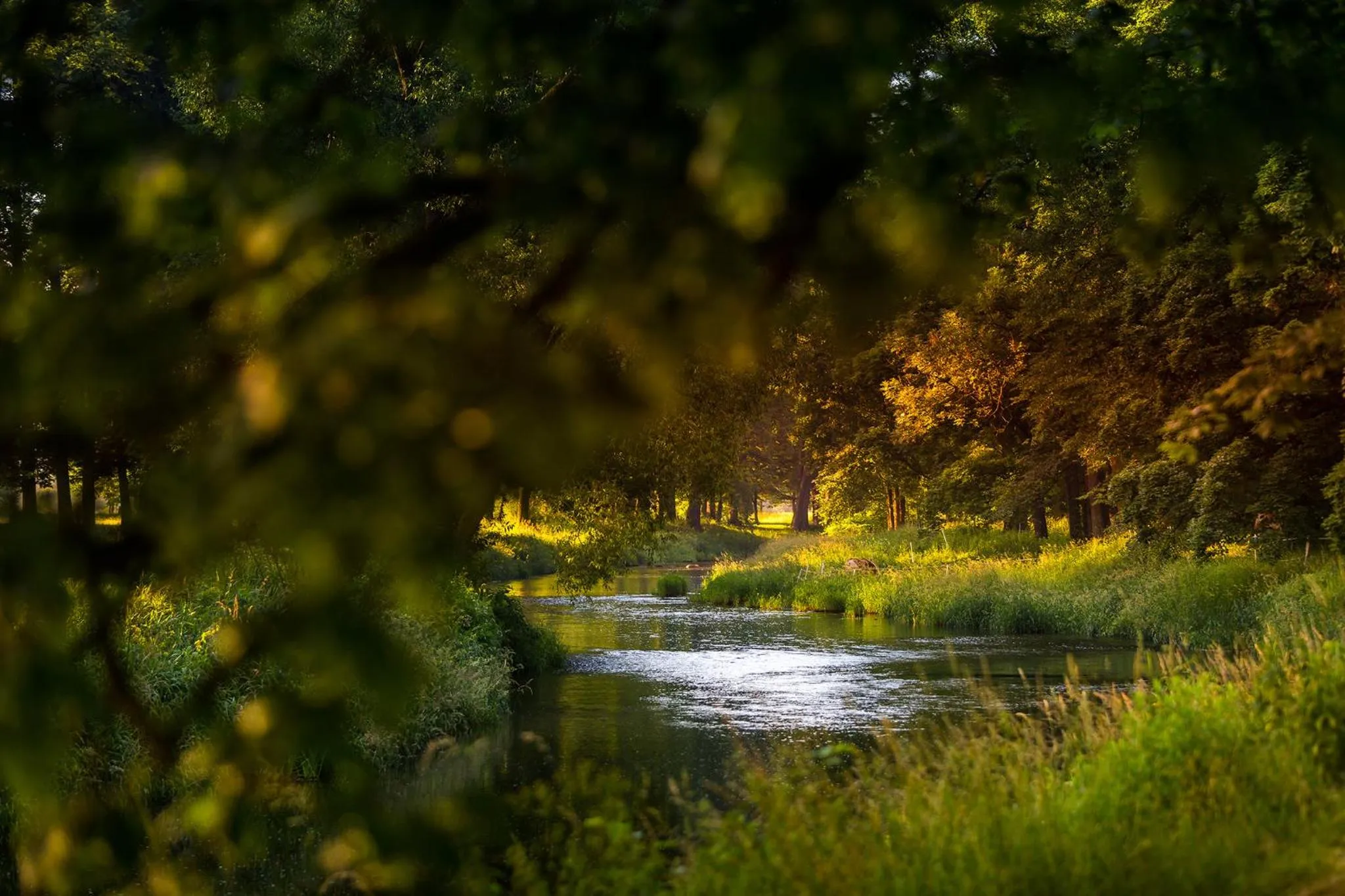 Off site in Pałac Łomnica Karkonosze - Schloss Lomnitz Riesengebirge