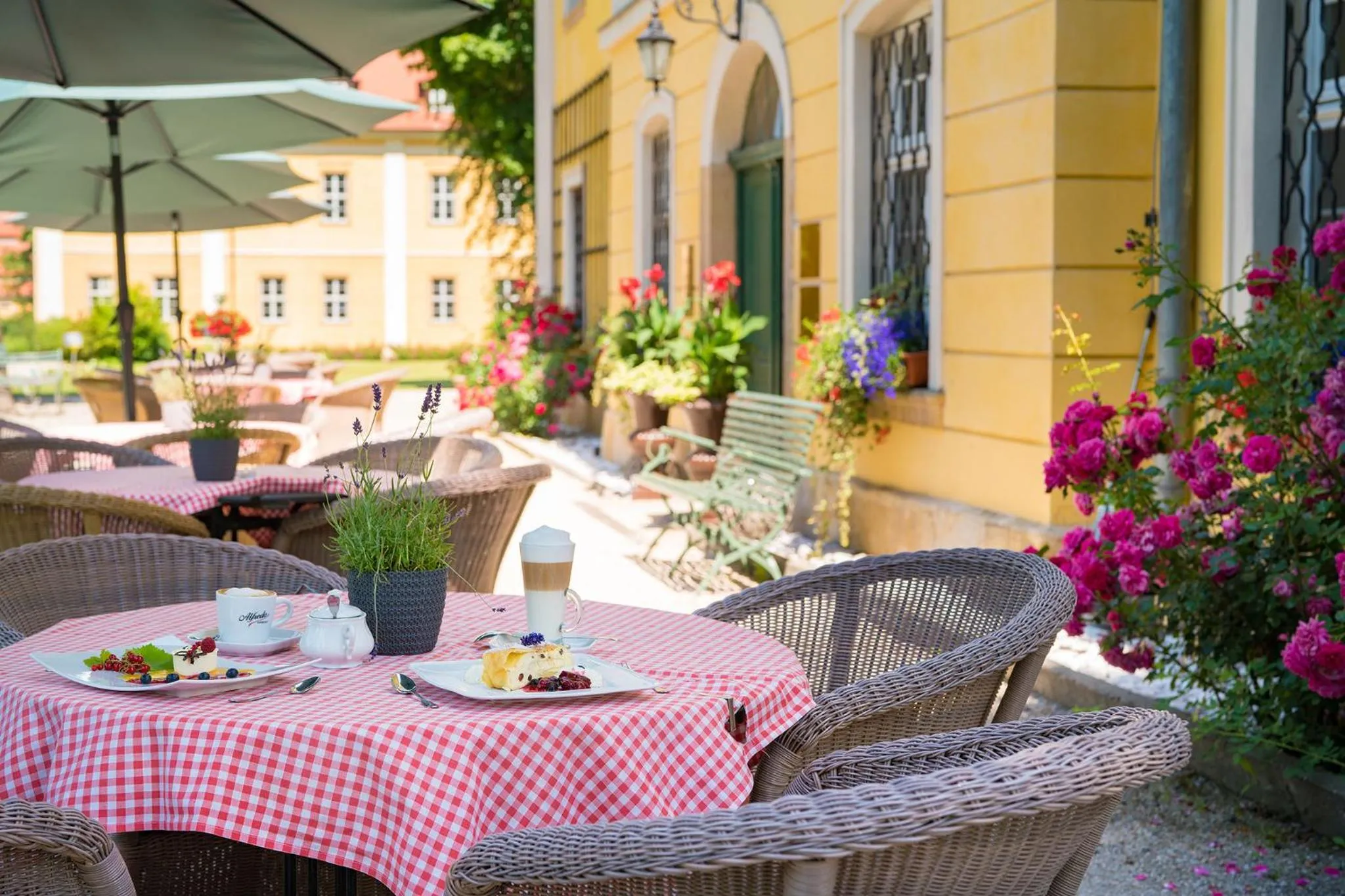 Restaurant/places to eat in Pałac Łomnica Karkonosze - Schloss Lomnitz Riesengebirge