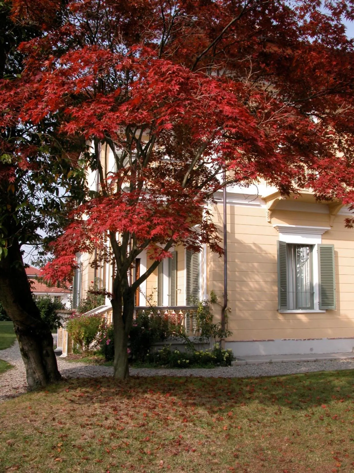 Garden in Villa D'Azeglio