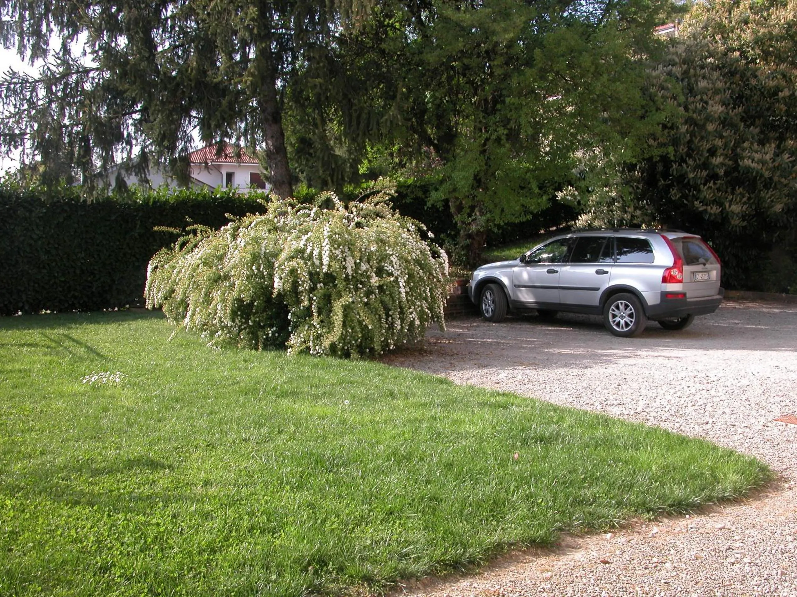 Garden view in Villa D'Azeglio