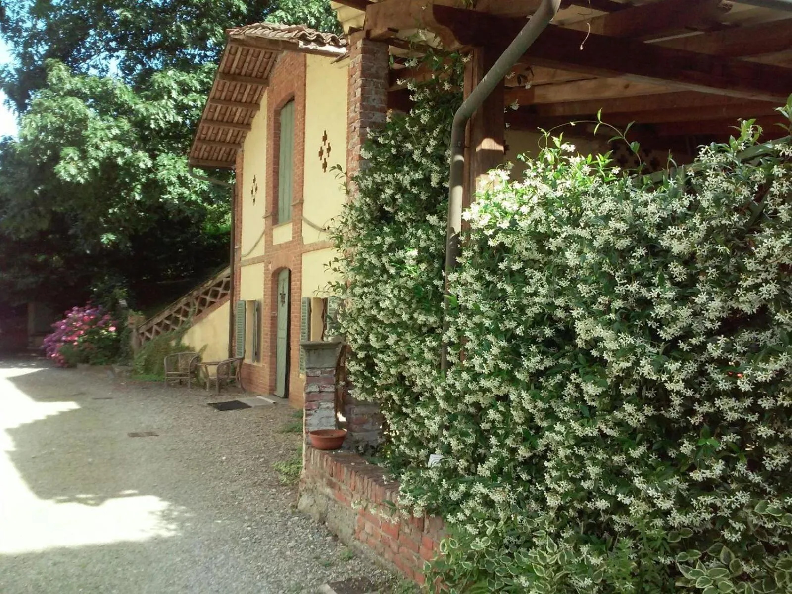 Garden in Villa D'Azeglio