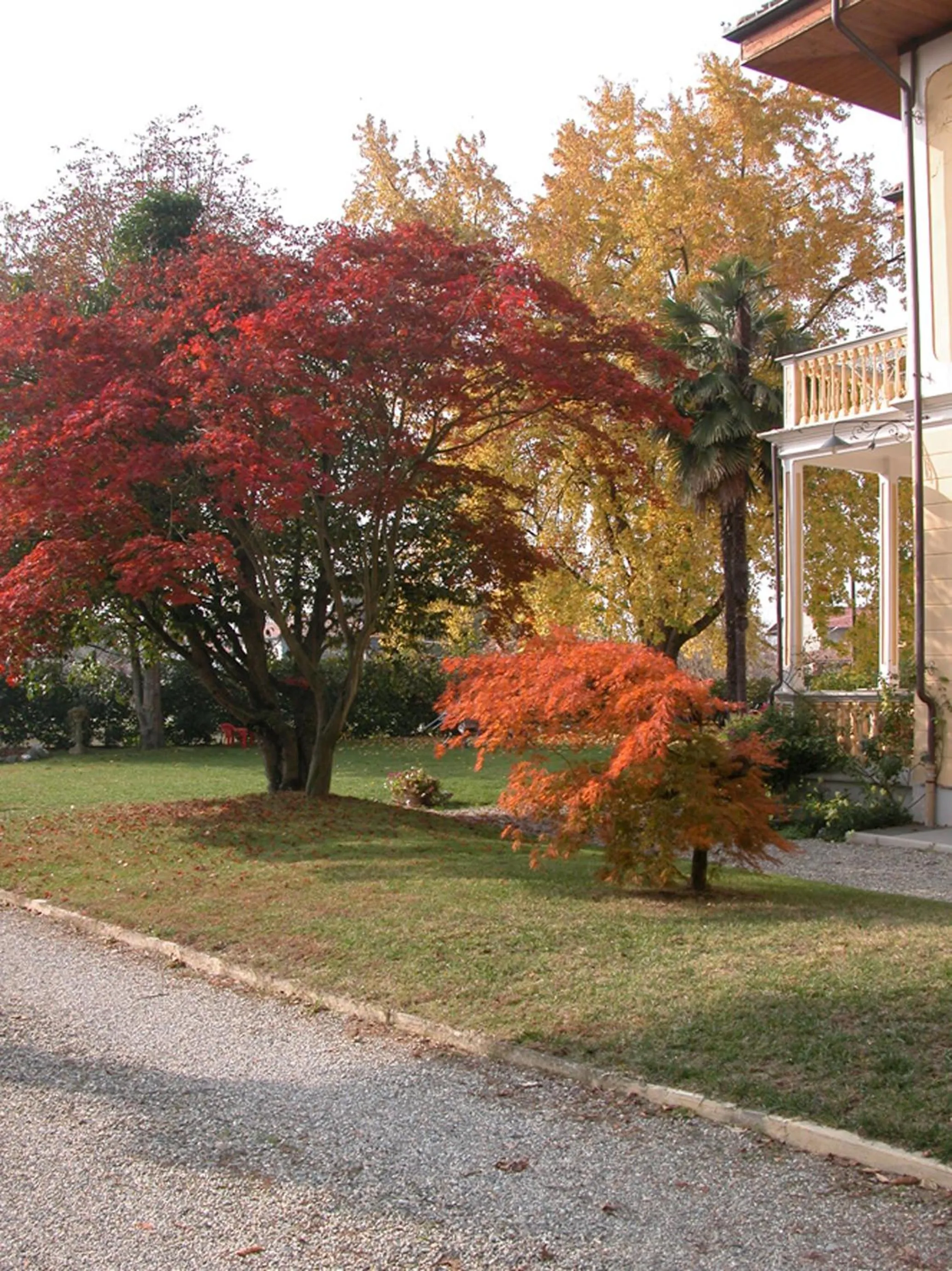 Garden in Villa D'Azeglio