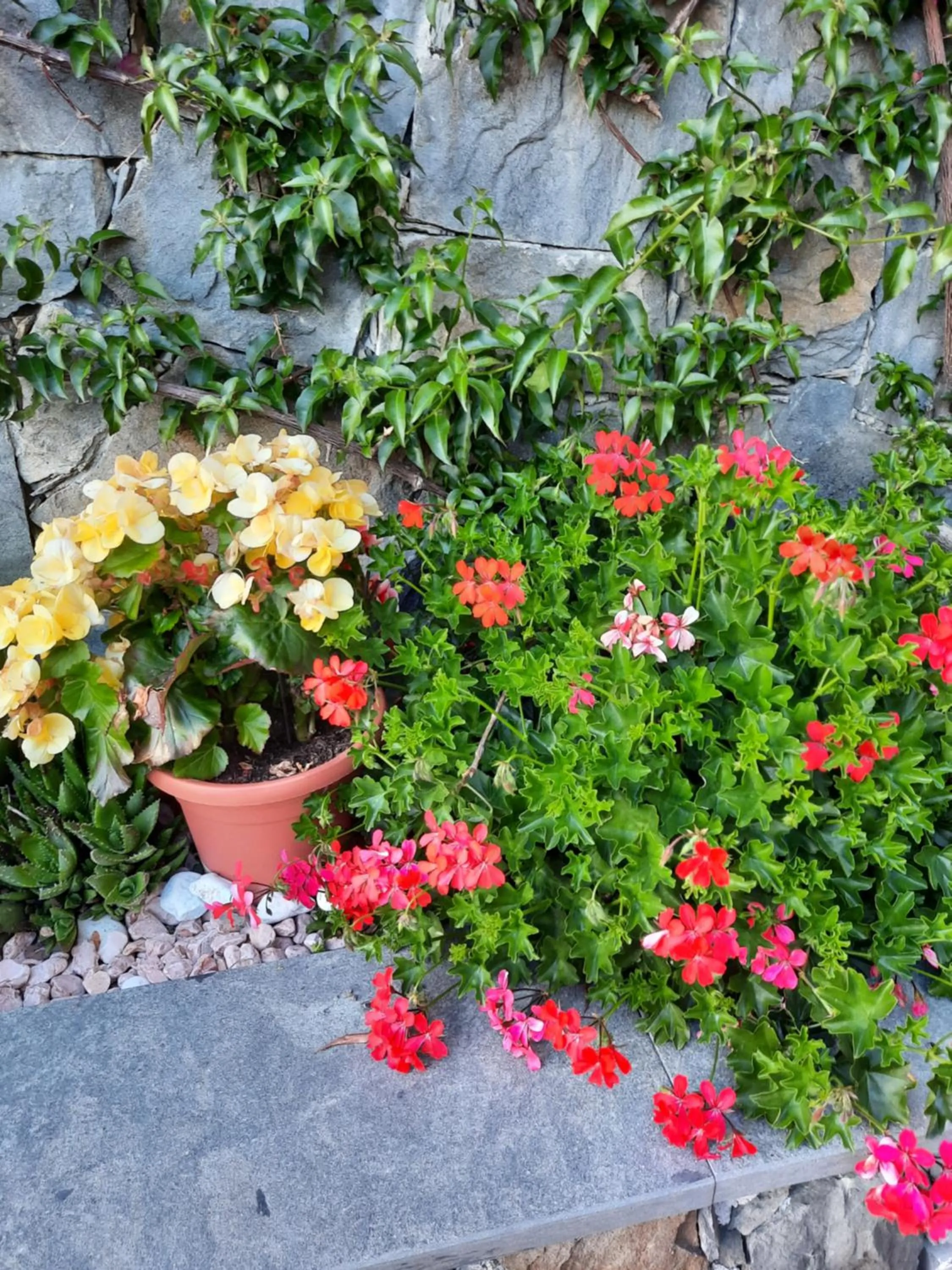 Floor plan in B&B Vignola