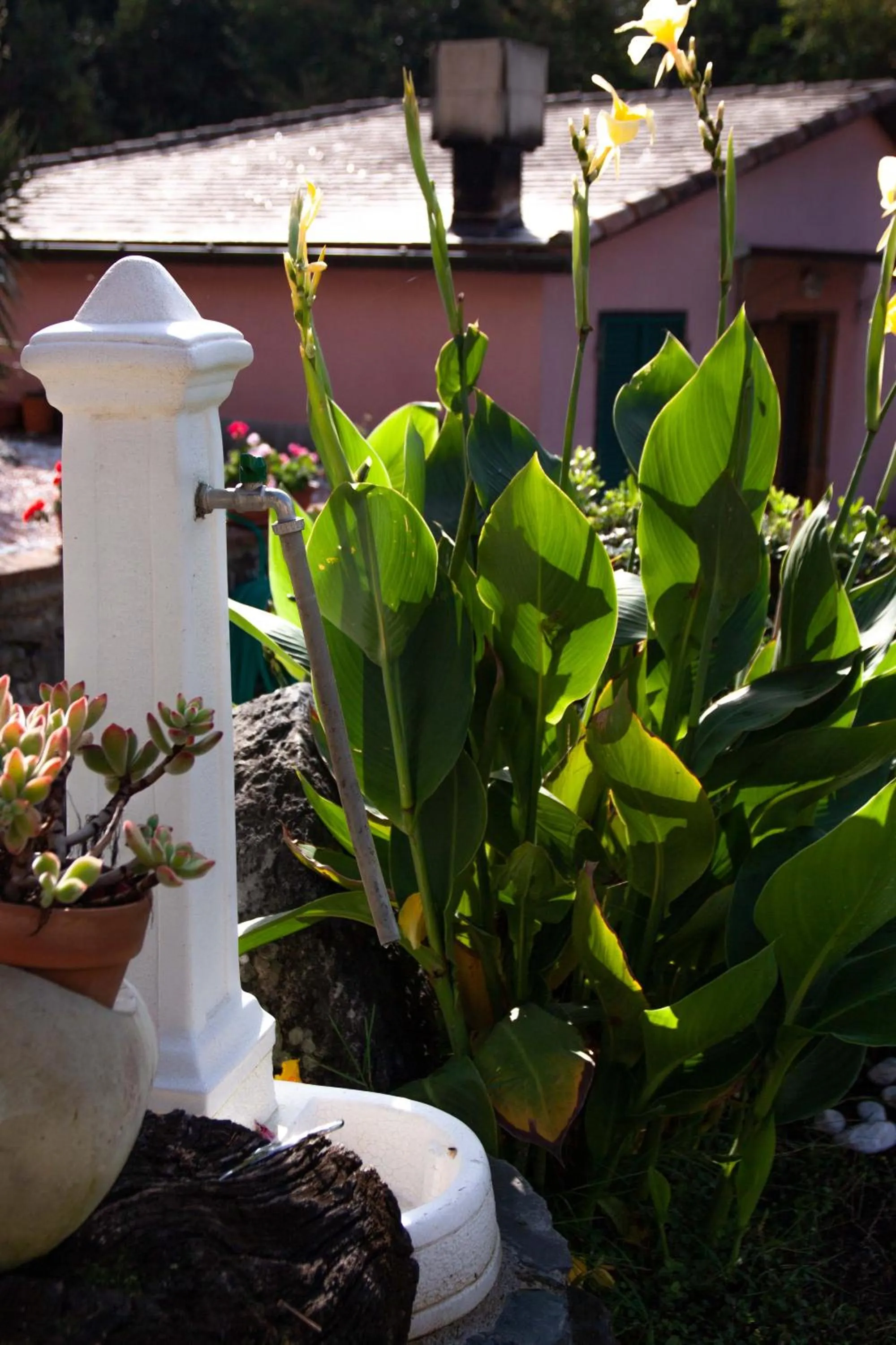 Garden in B&B Vignola