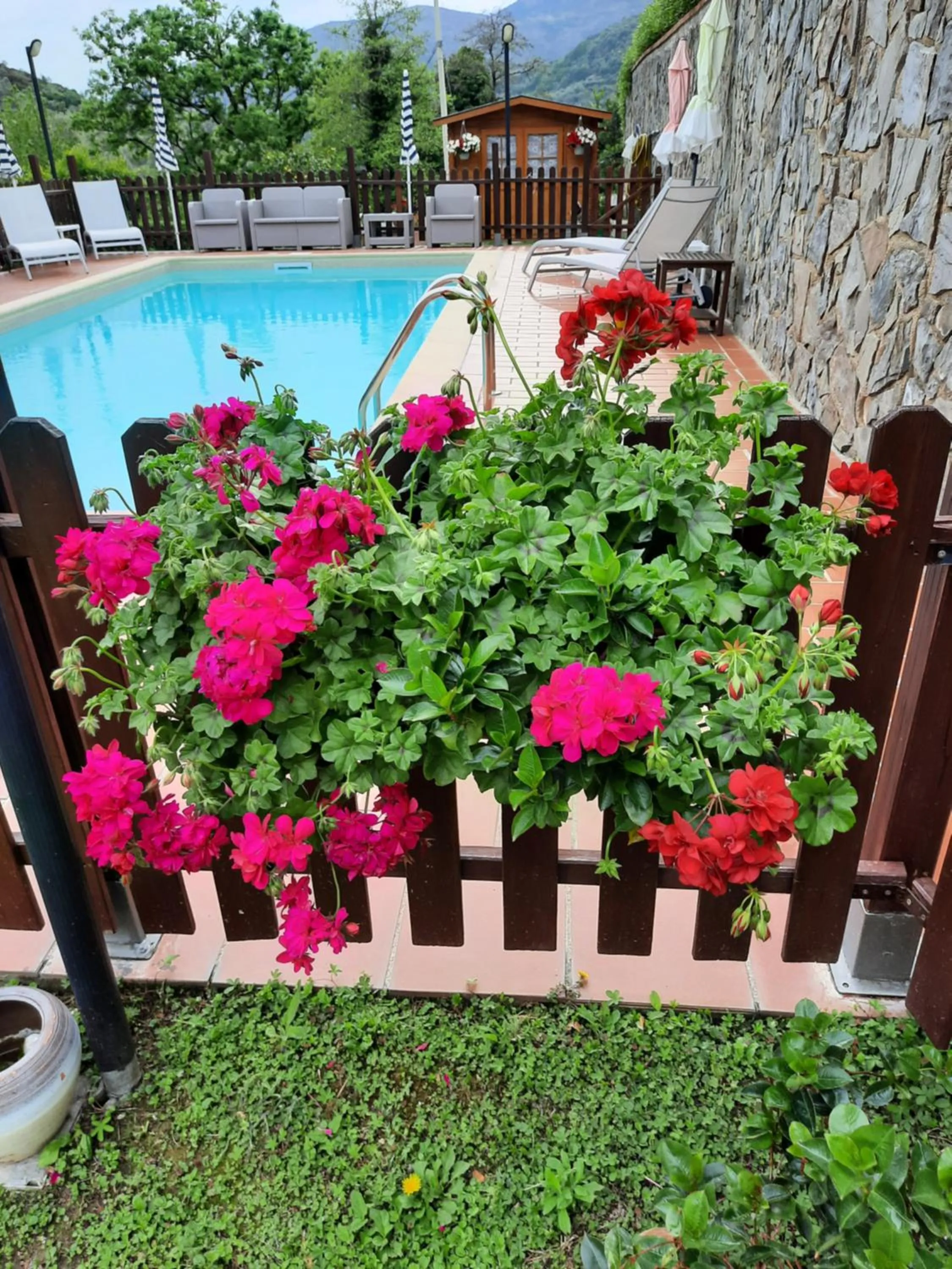 Floor plan in B&B Vignola