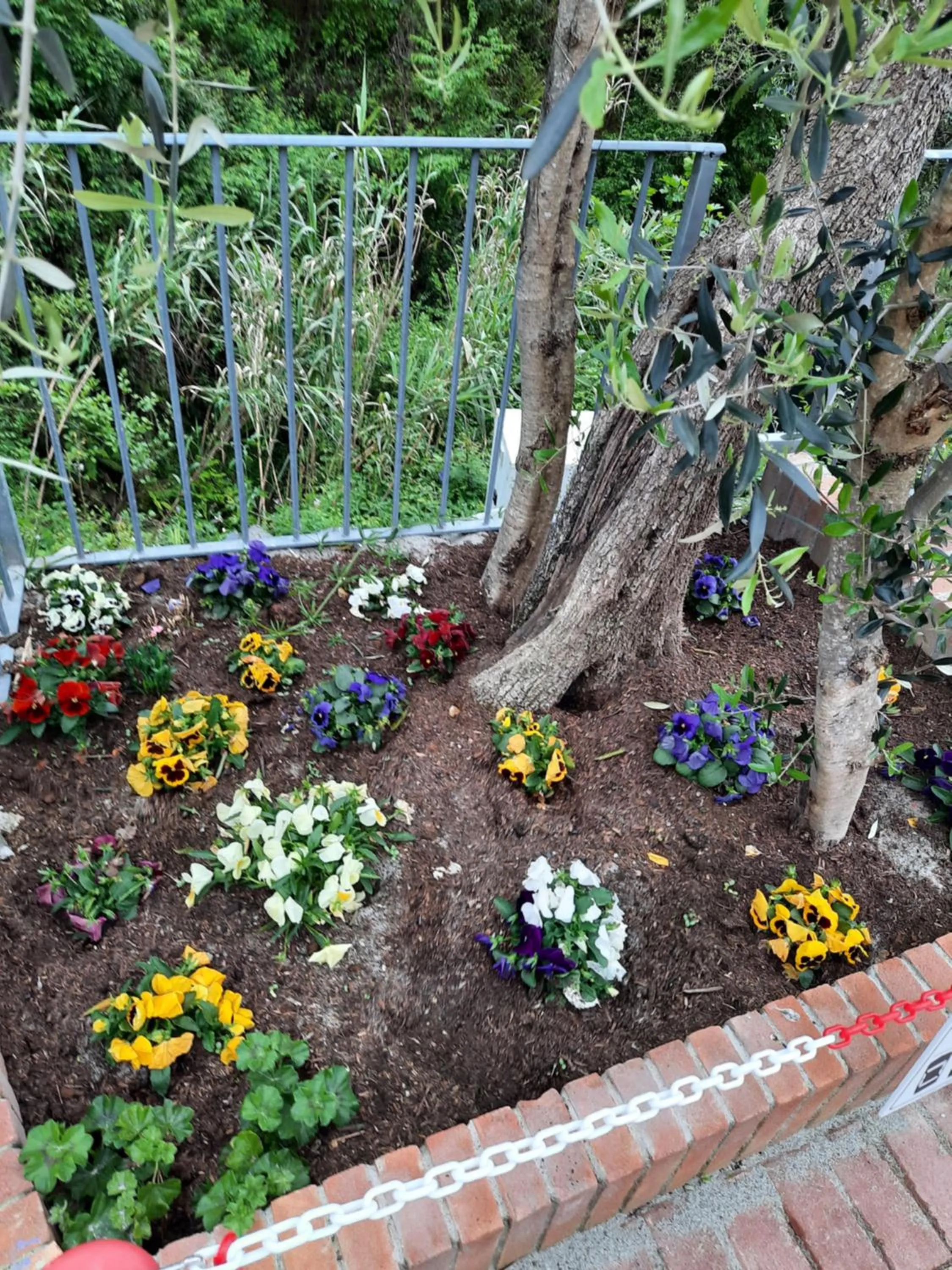 Garden in B&B Vignola