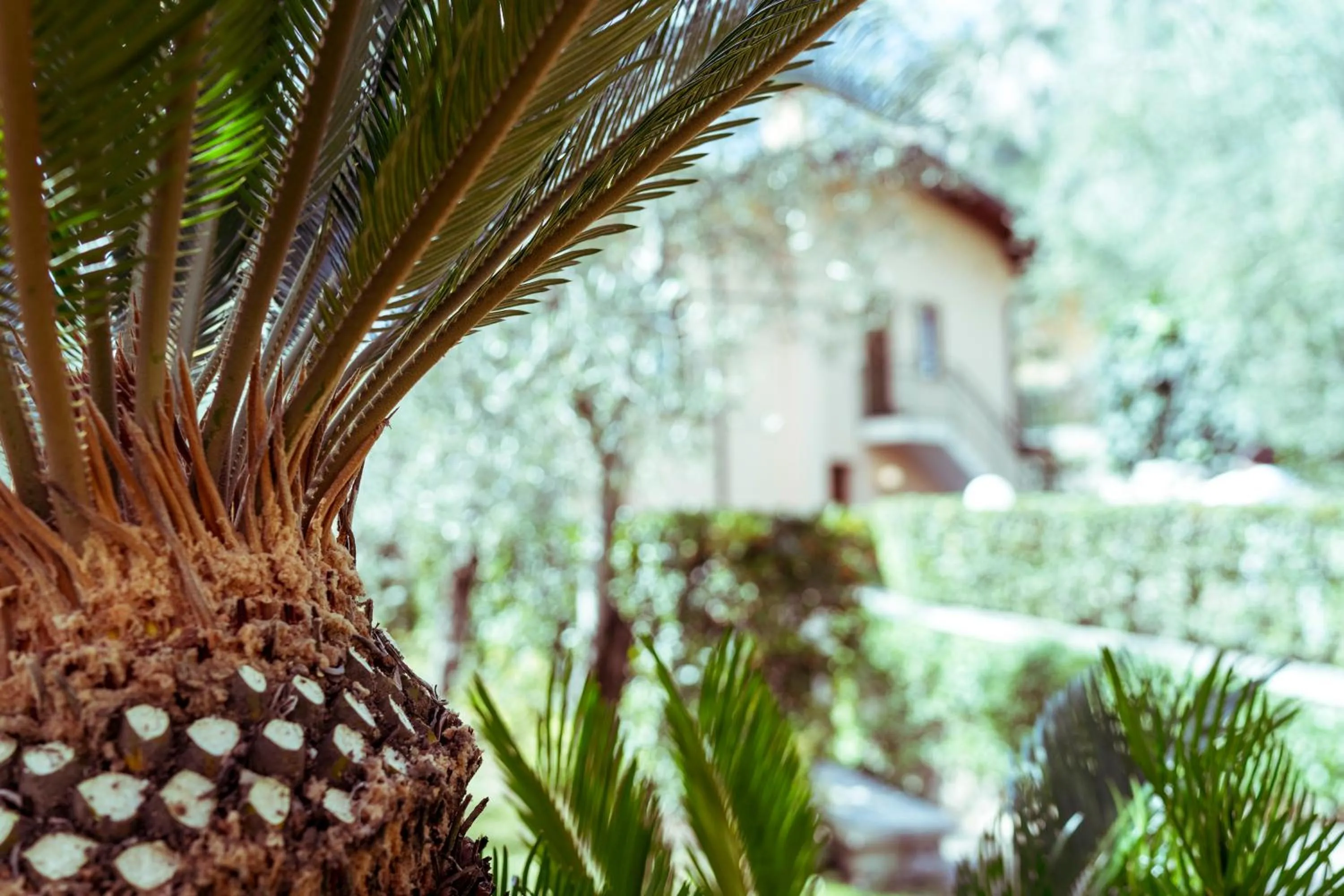 Decorative detail in Hotel Ilma Lake Garda Resort