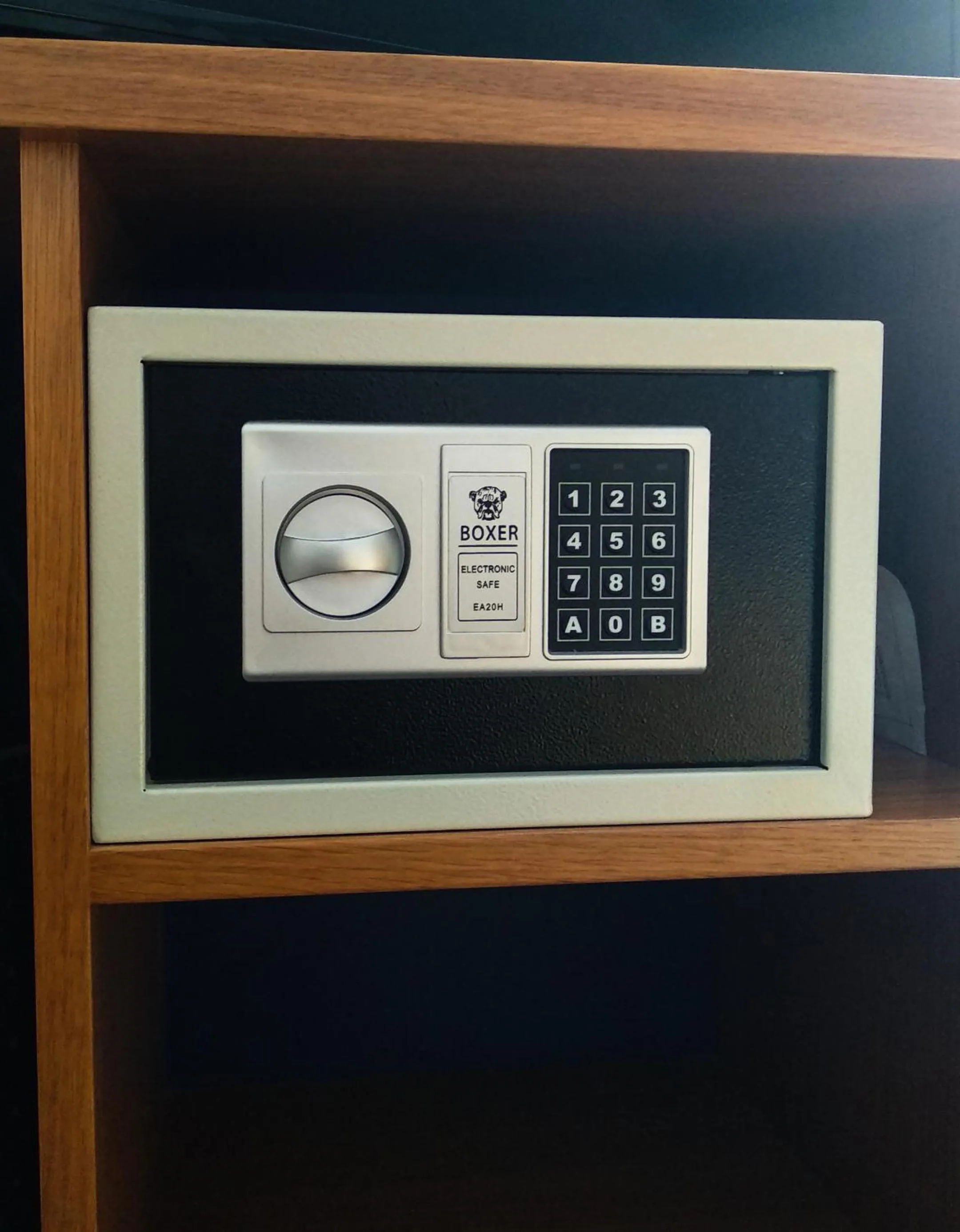 Area and facilities in Hotel Mastai