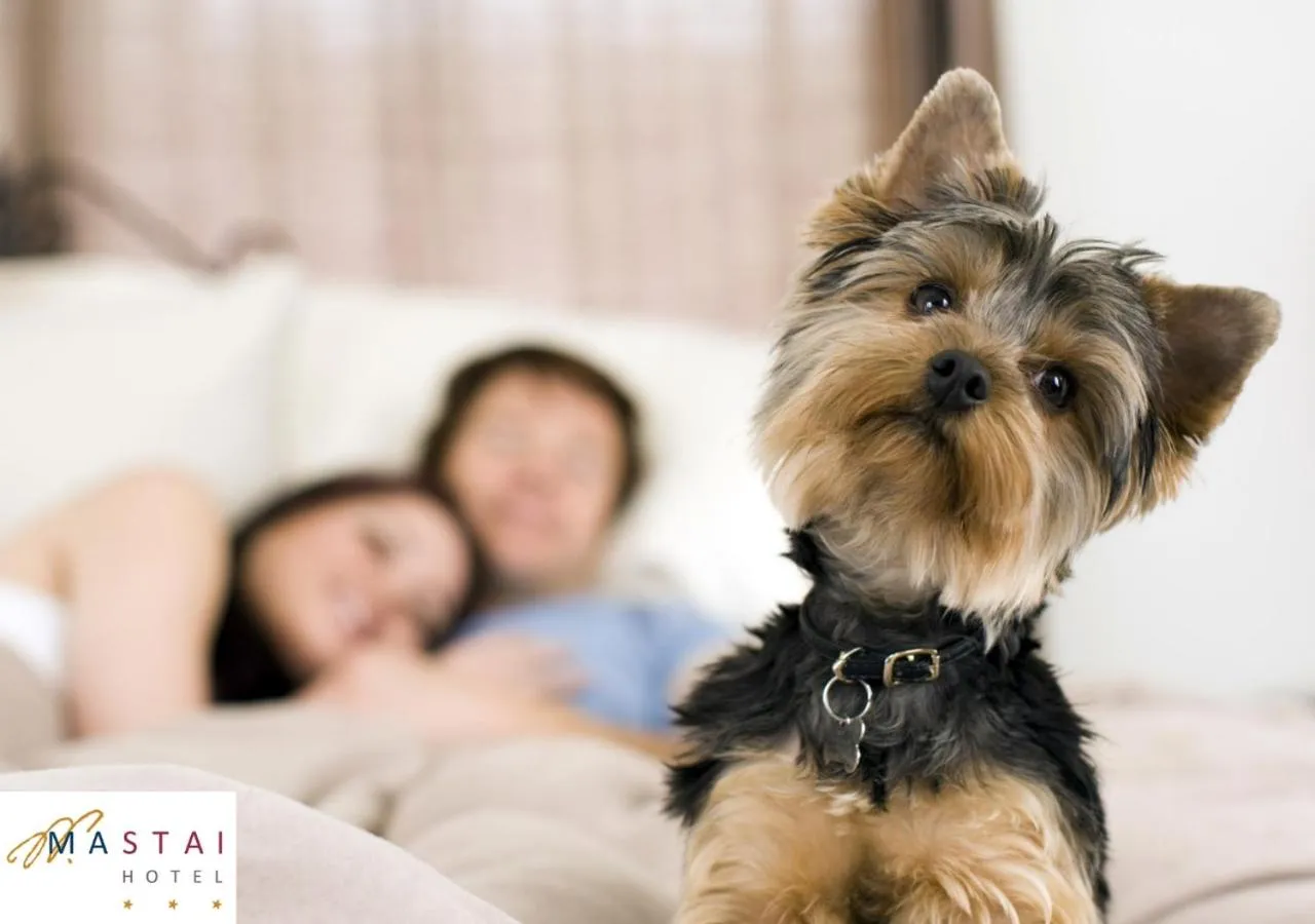 Guests in Hotel Mastai