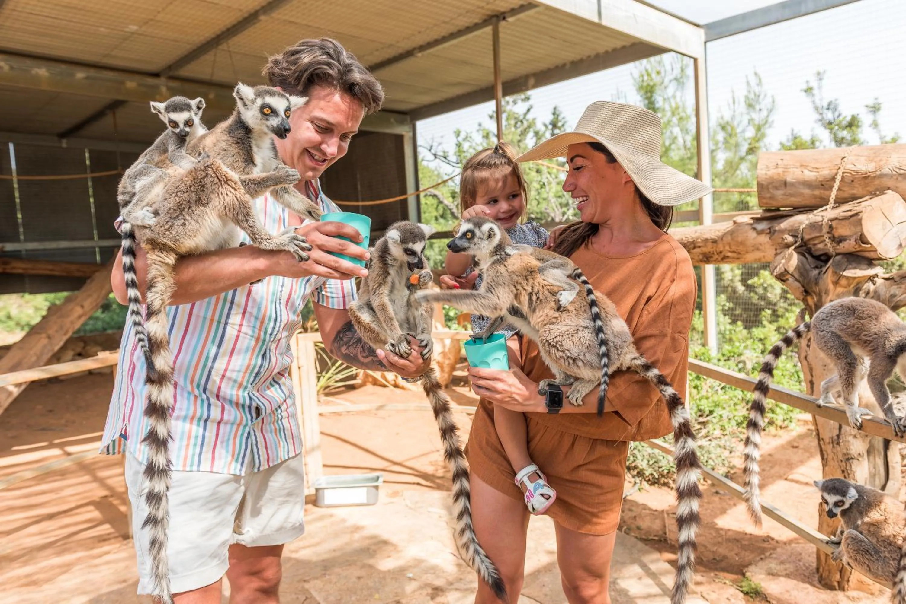 Day in Cap St Georges Villas