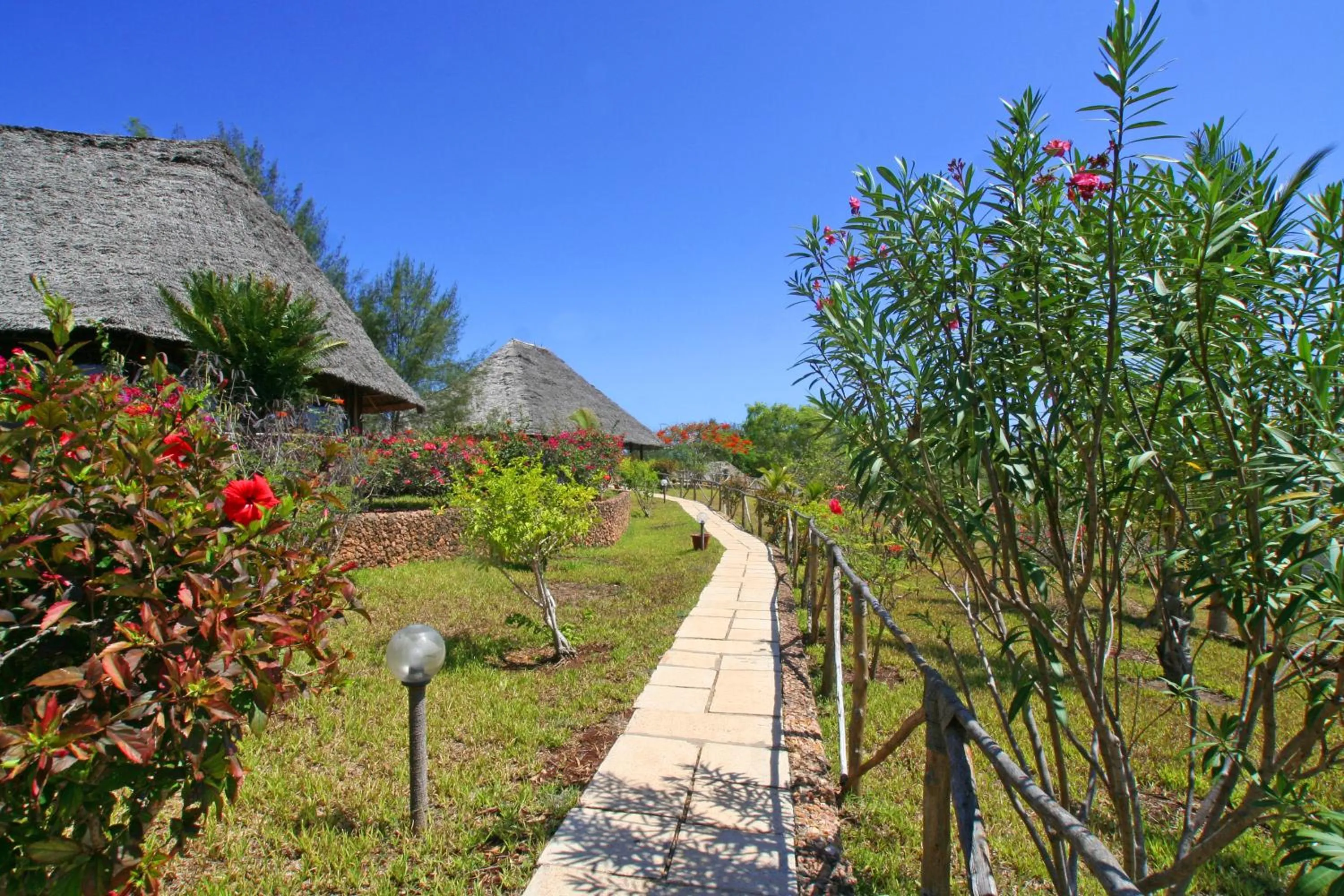 Property building in Hotel Club Dongwe