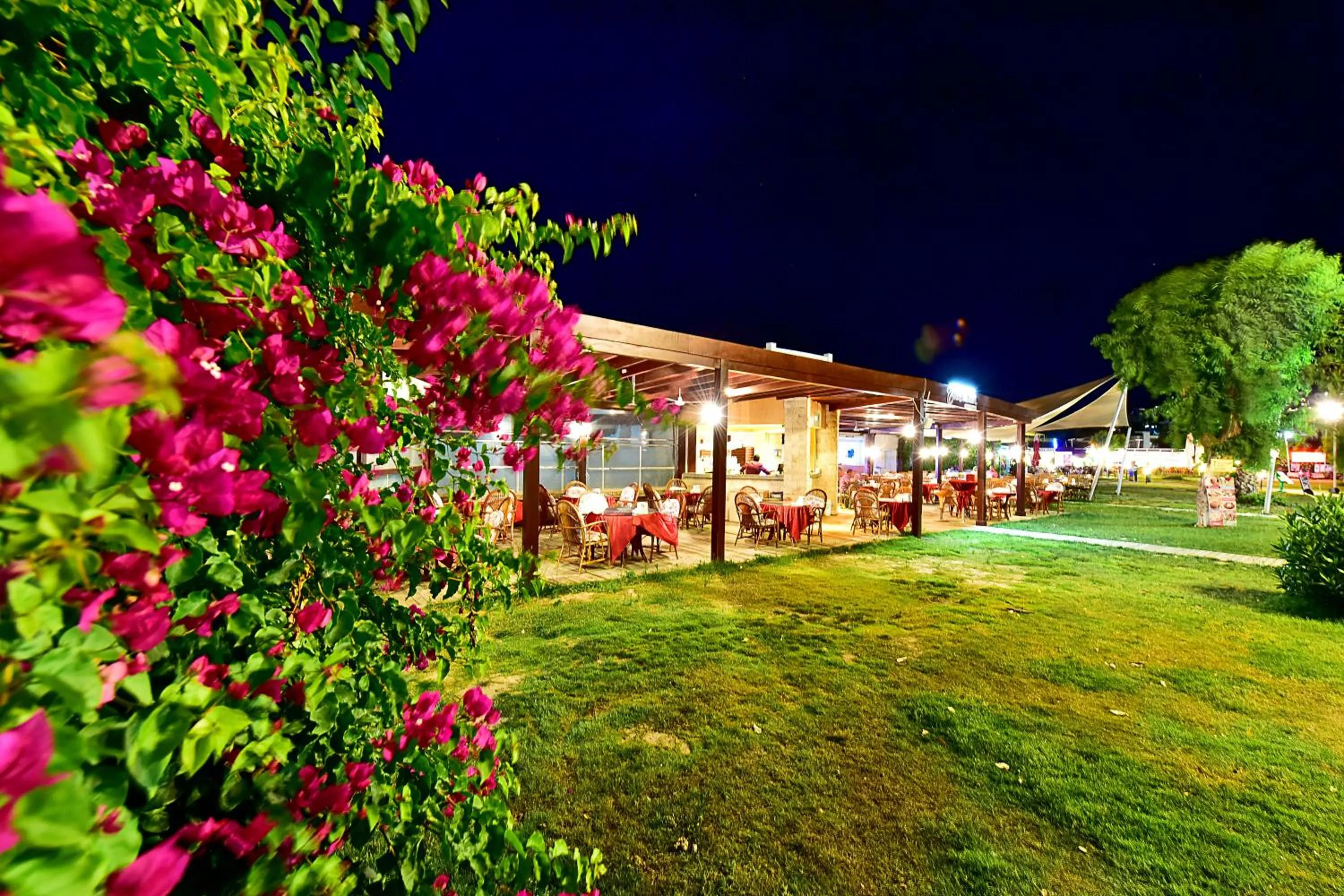 Restaurant/places to eat in Parkim Ayaz Hotel