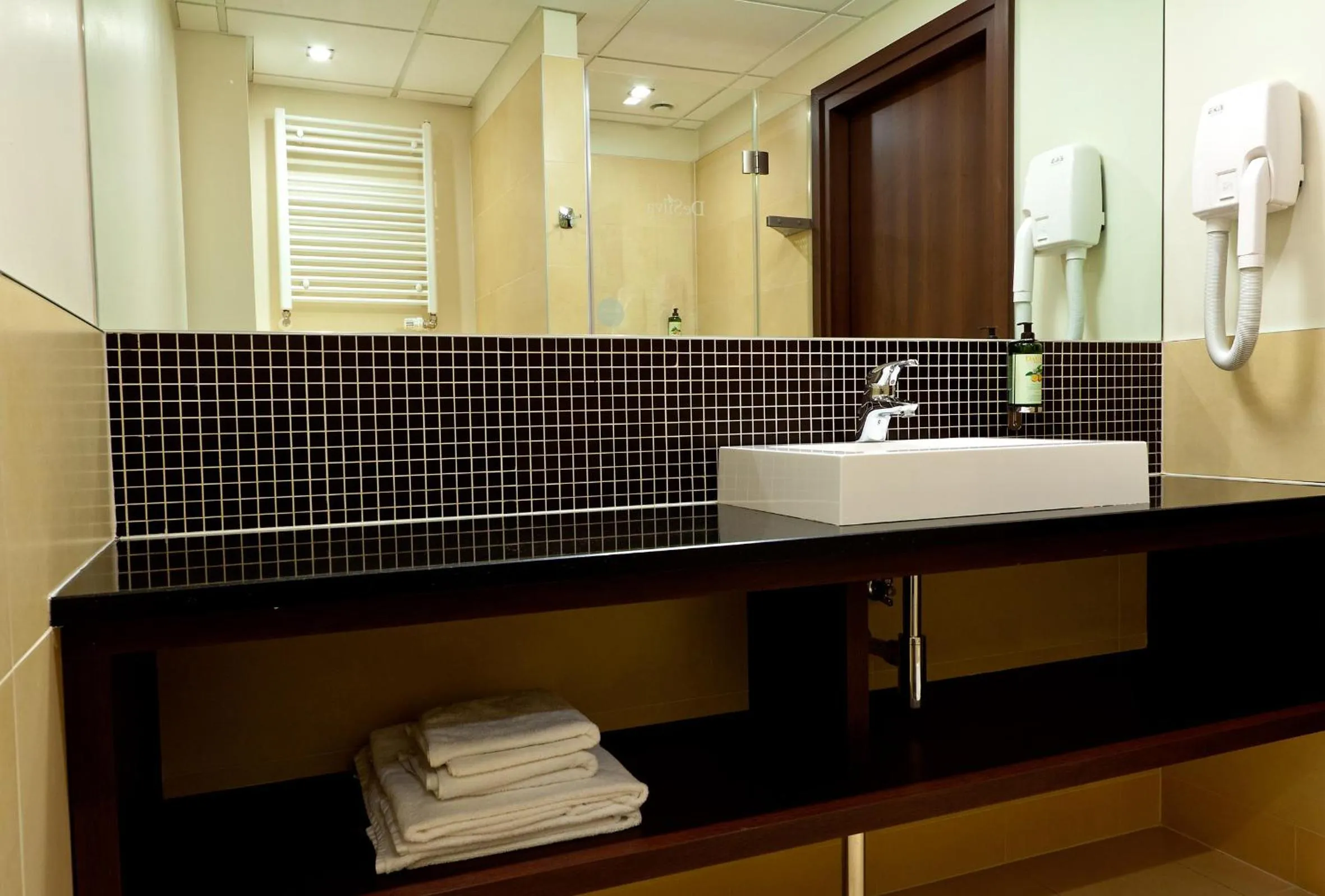 Shower in Mercure Warszawa Airport