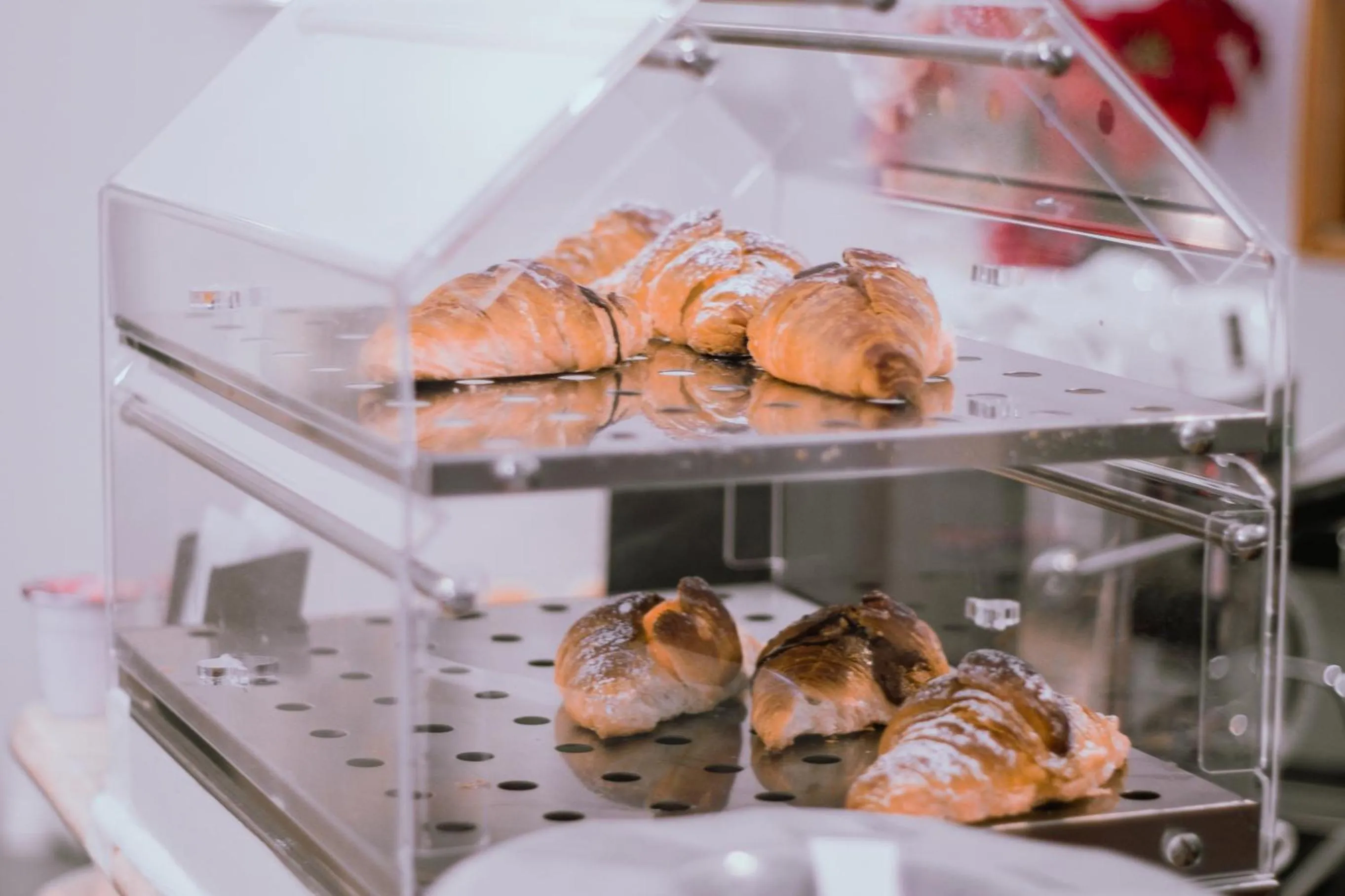 Food in Hotel Aristotele