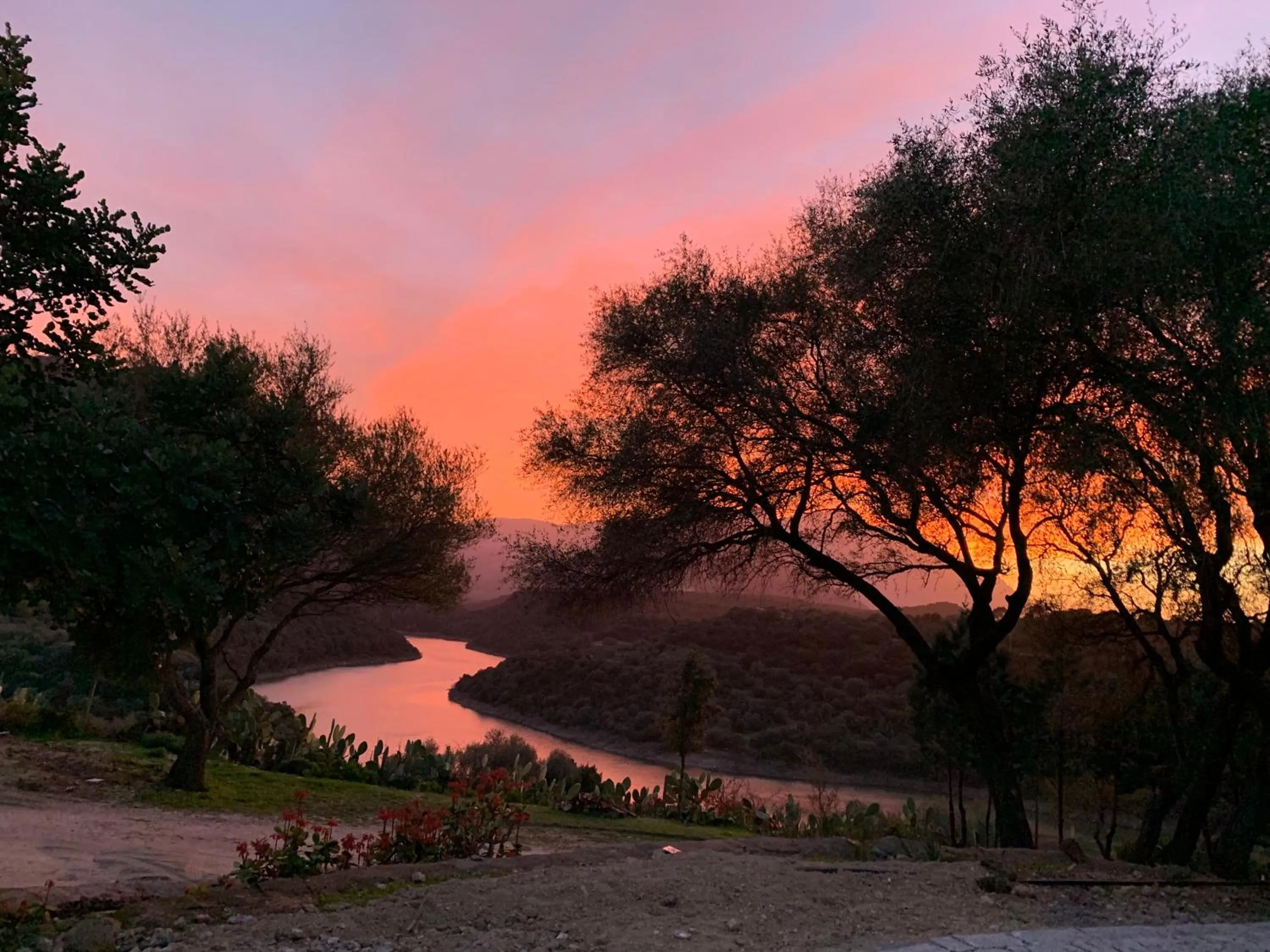 Natural landscape in Hotel Villa Cedrino