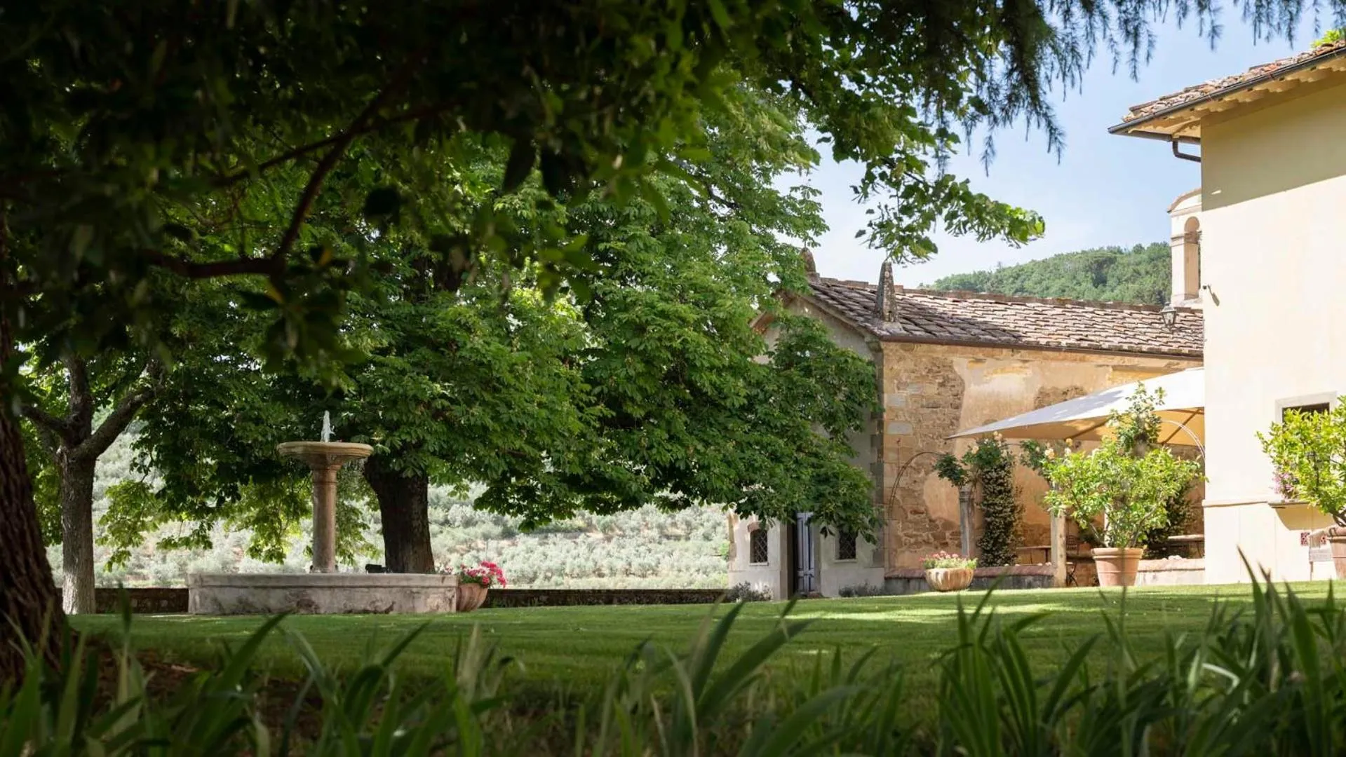 Garden in Relais Villa Belpoggio - Residenza D'Epoca
