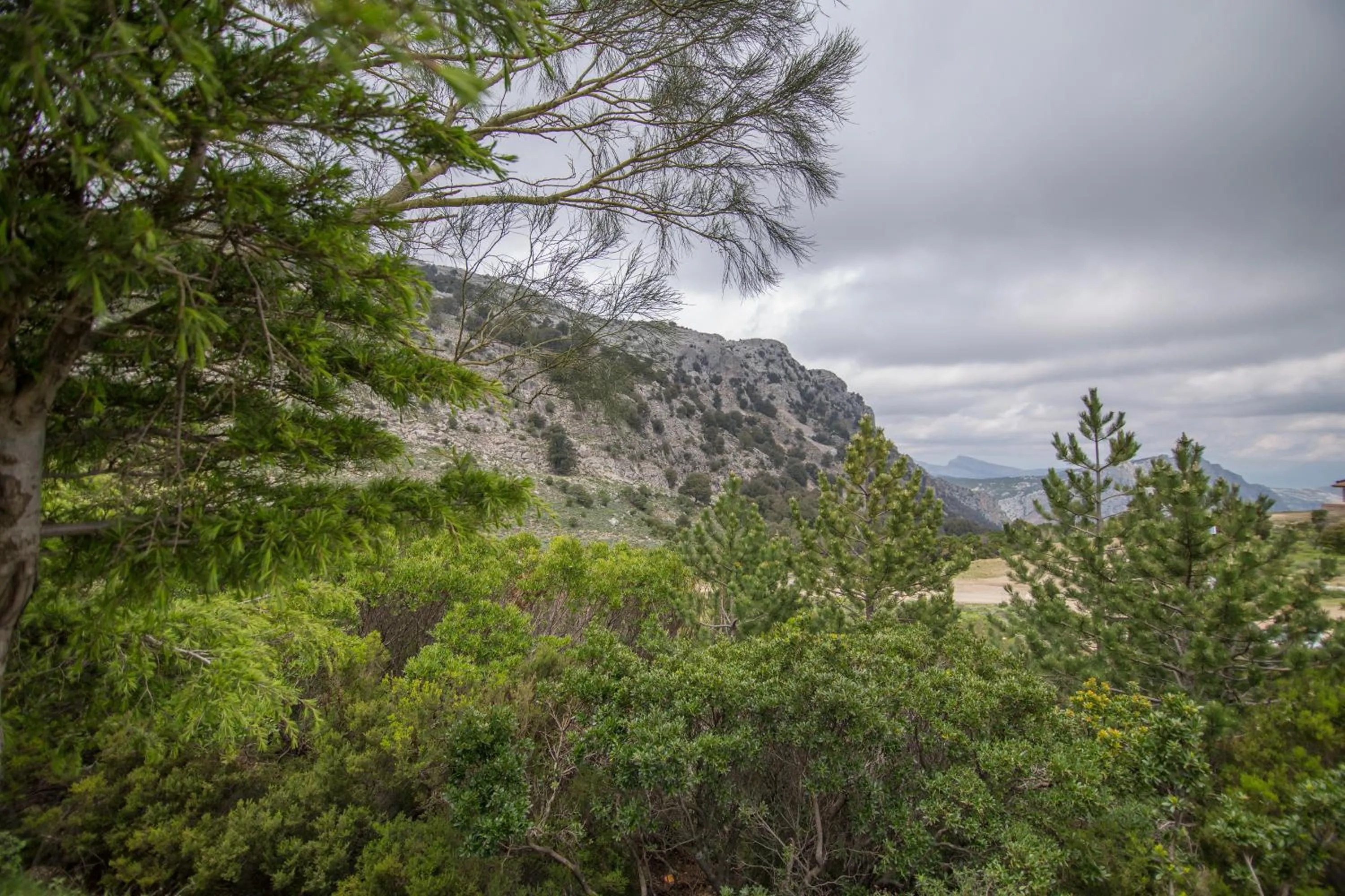Natural landscape in Gorropu Hotel