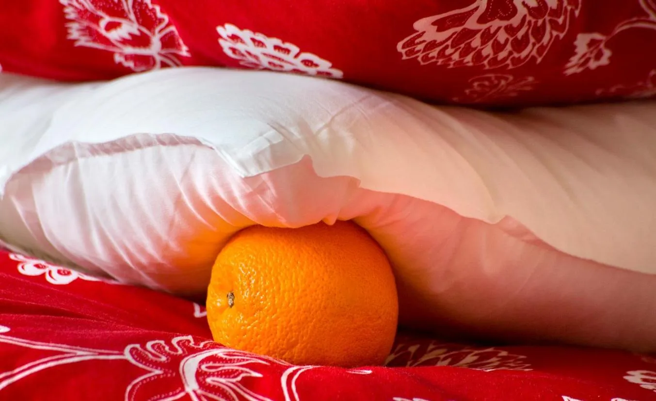 Apartamenty Pomarańczarnia