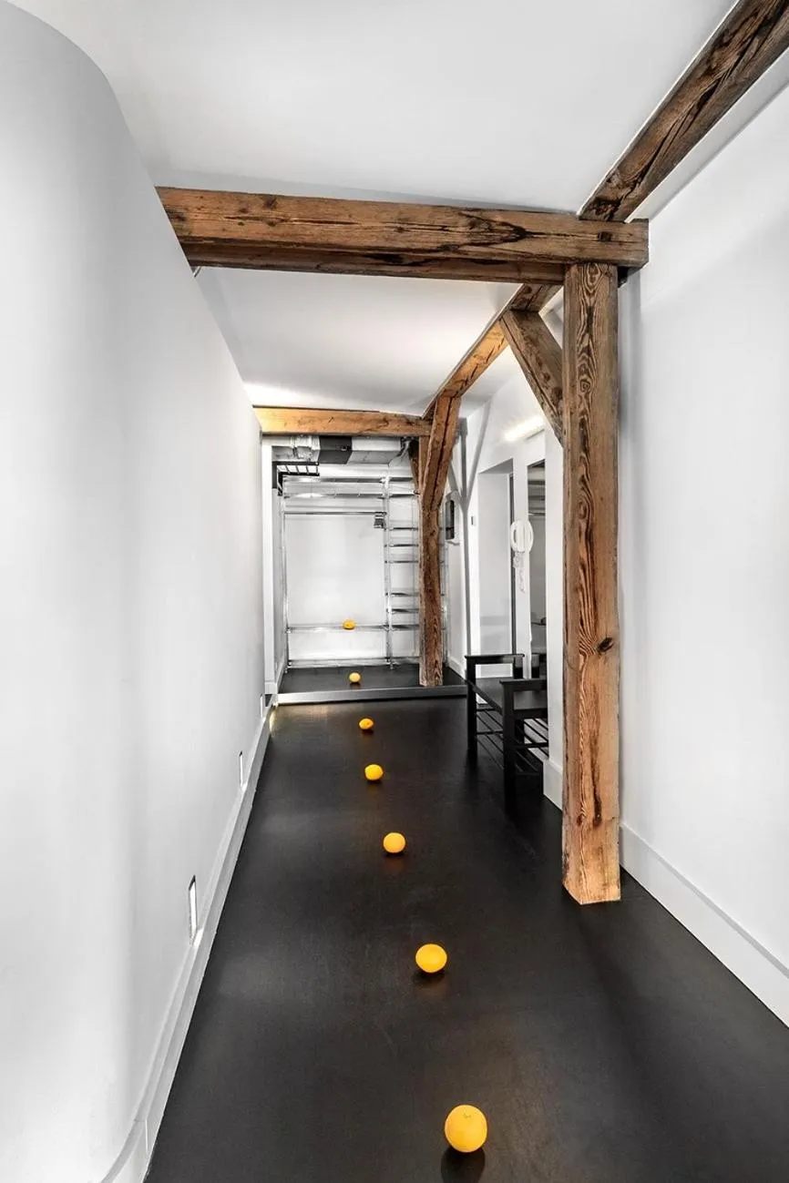 Apartamenty Pomarańczarnia