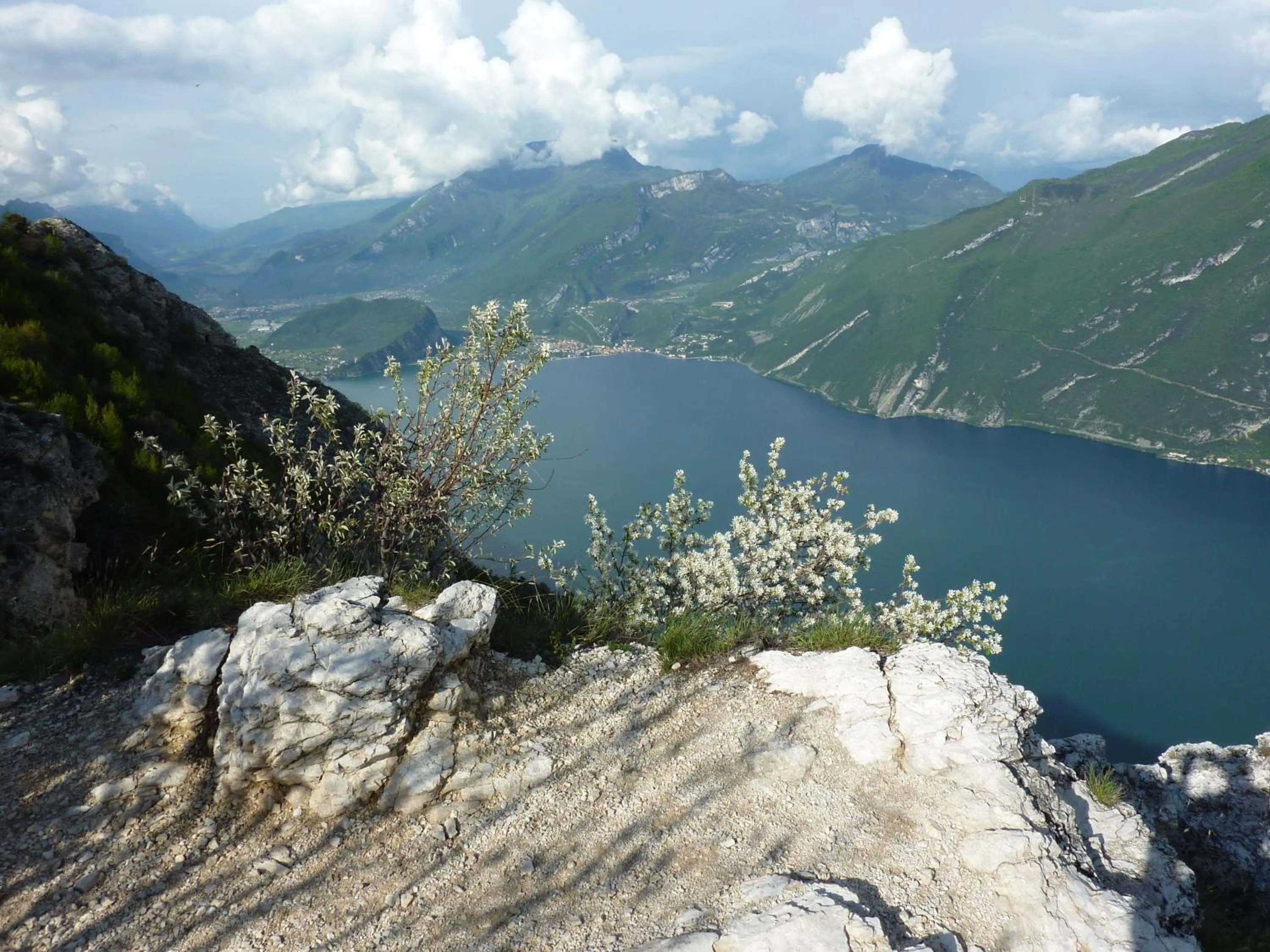 Area and facilities in Villa Franca