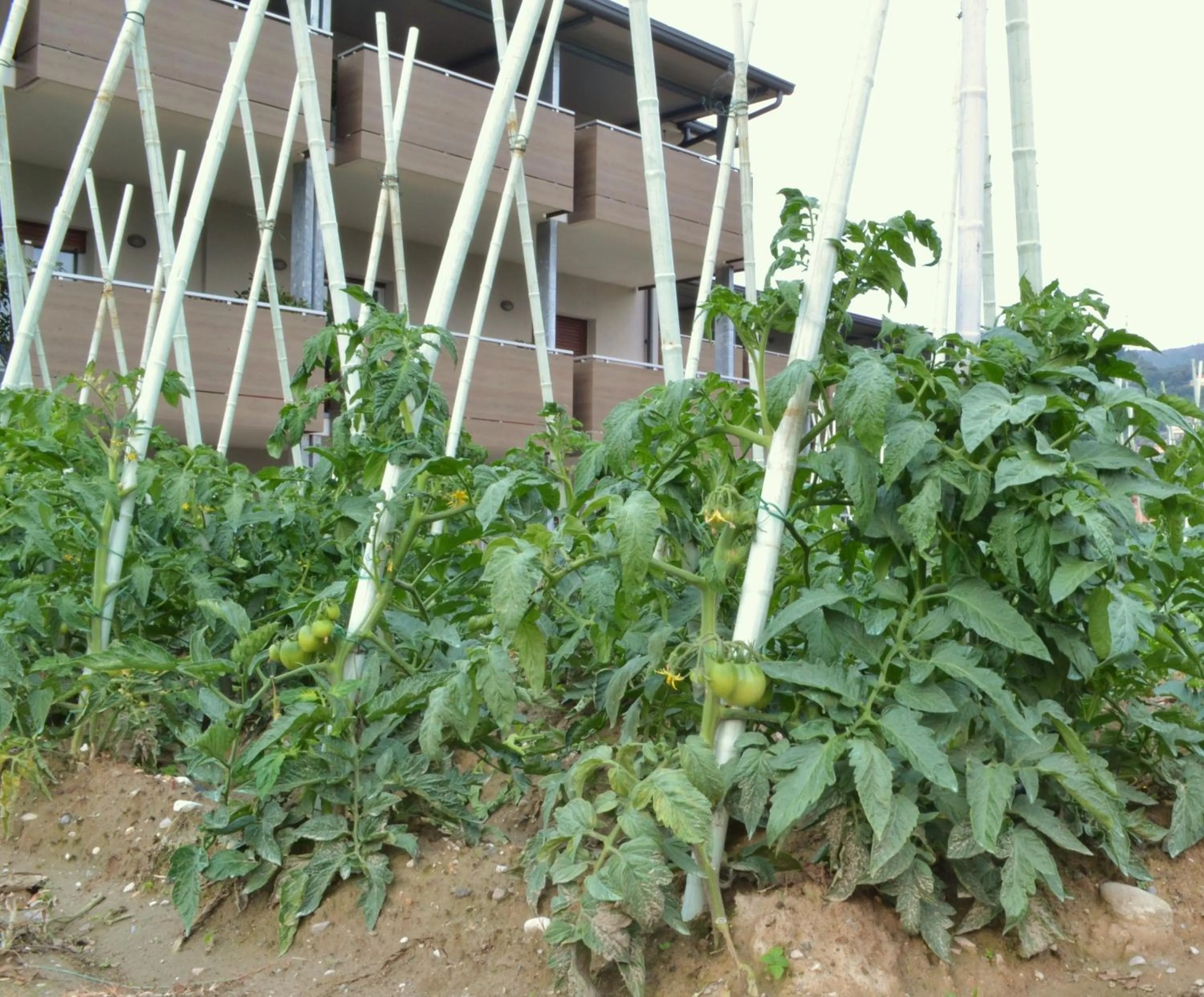 Decorative detail in Villa Franca