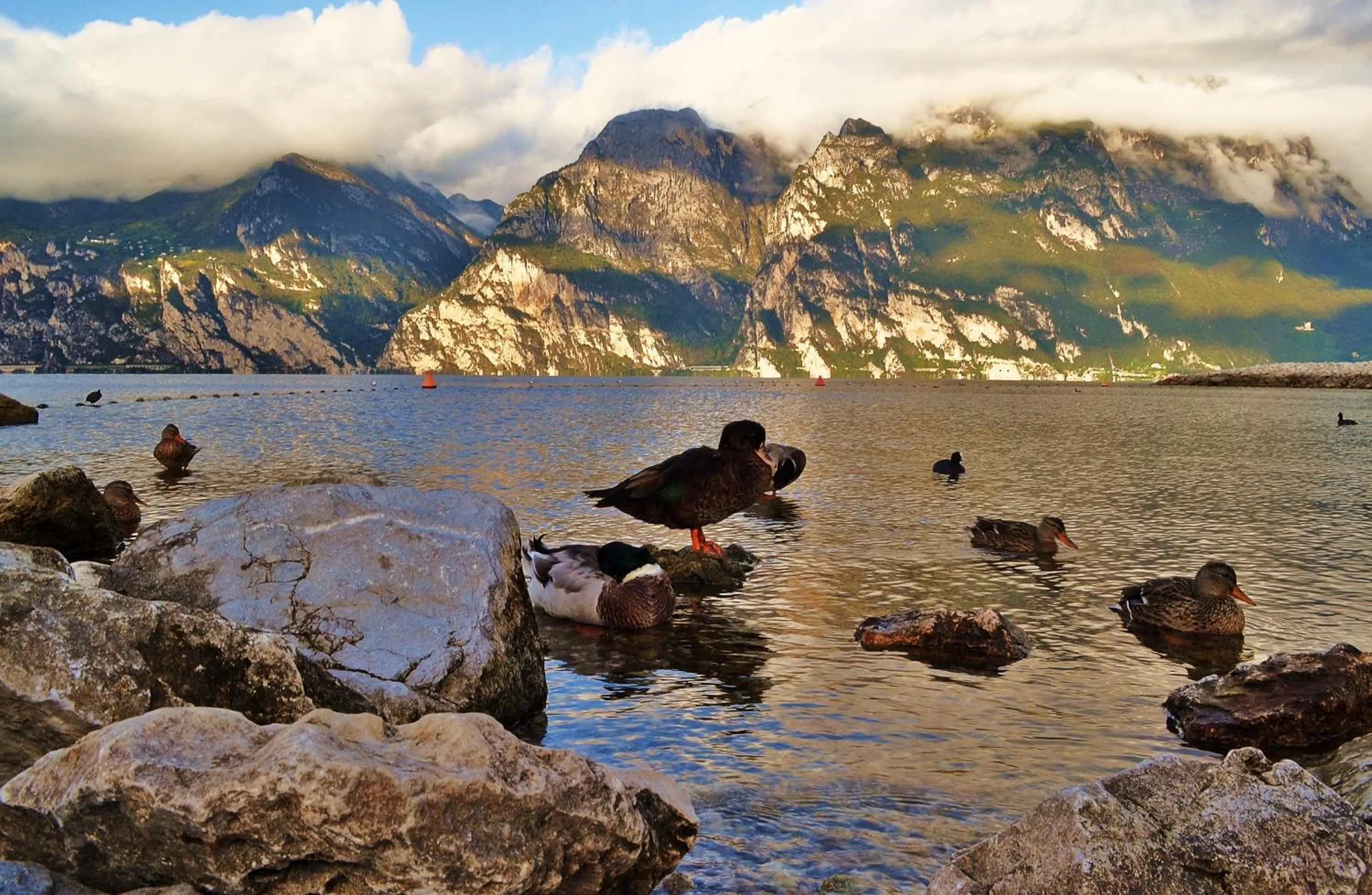 Area and facilities in Villa Franca