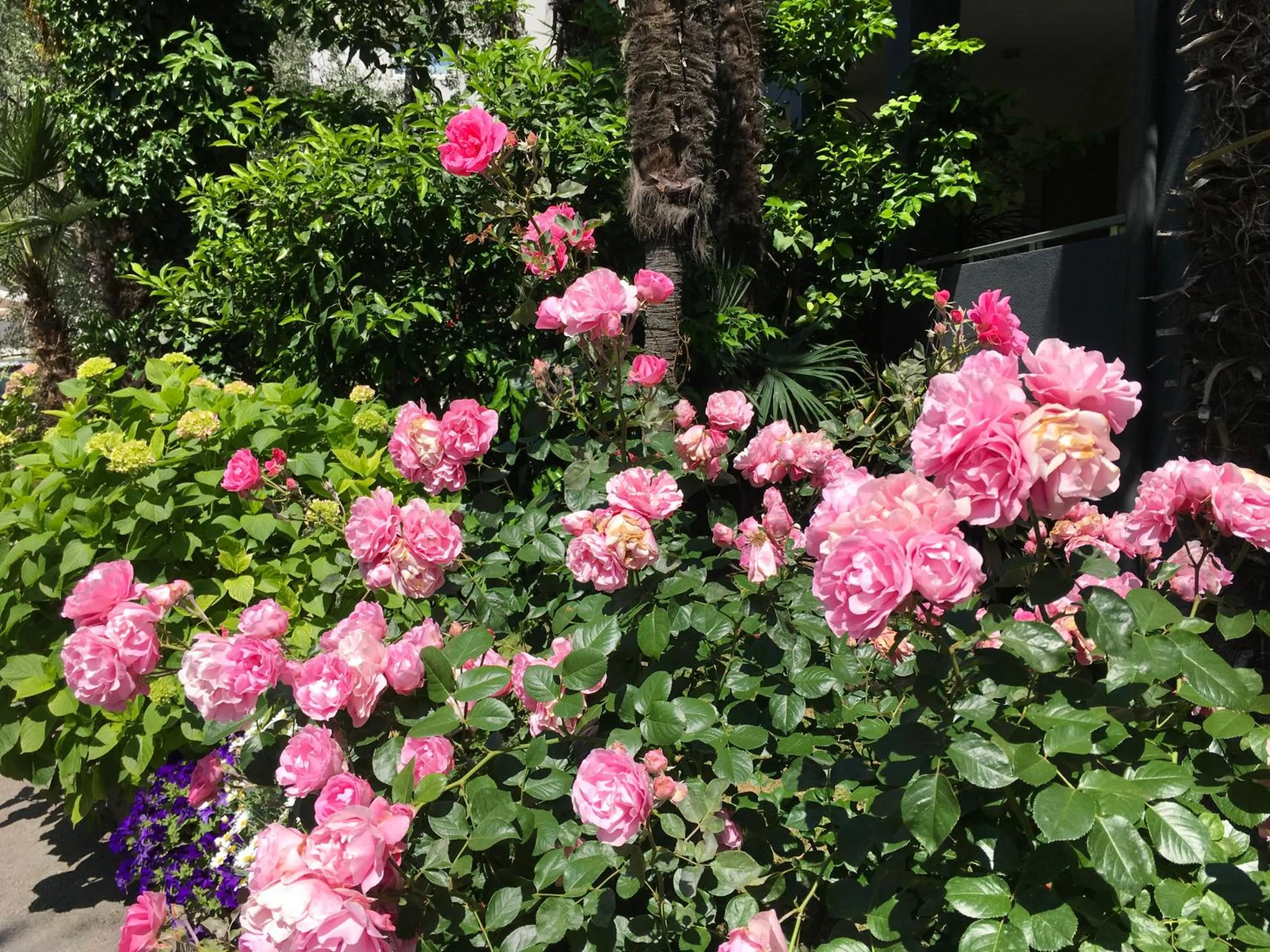 Facade/entrance in Villa Franca