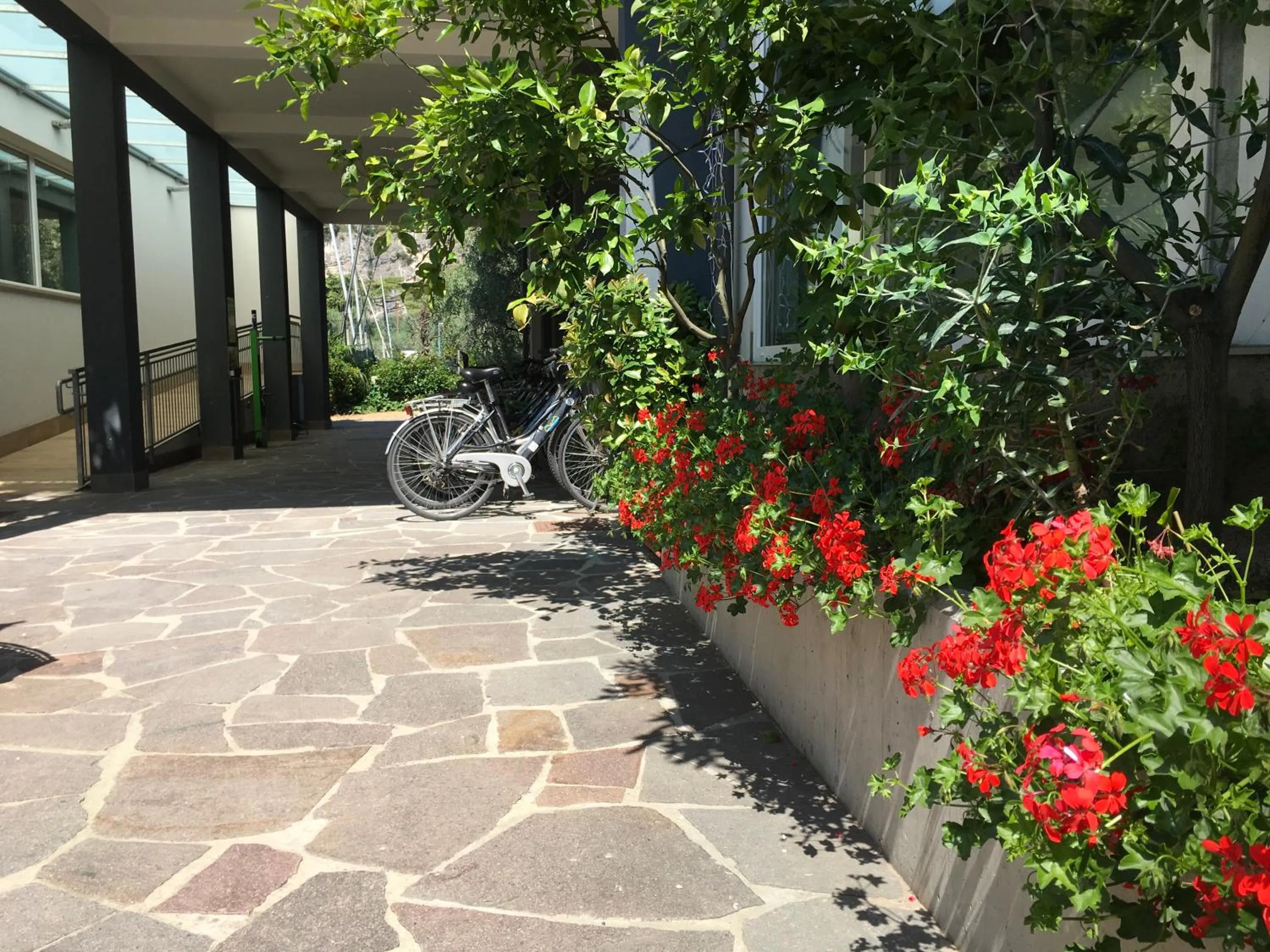 Area and facilities in Villa Franca