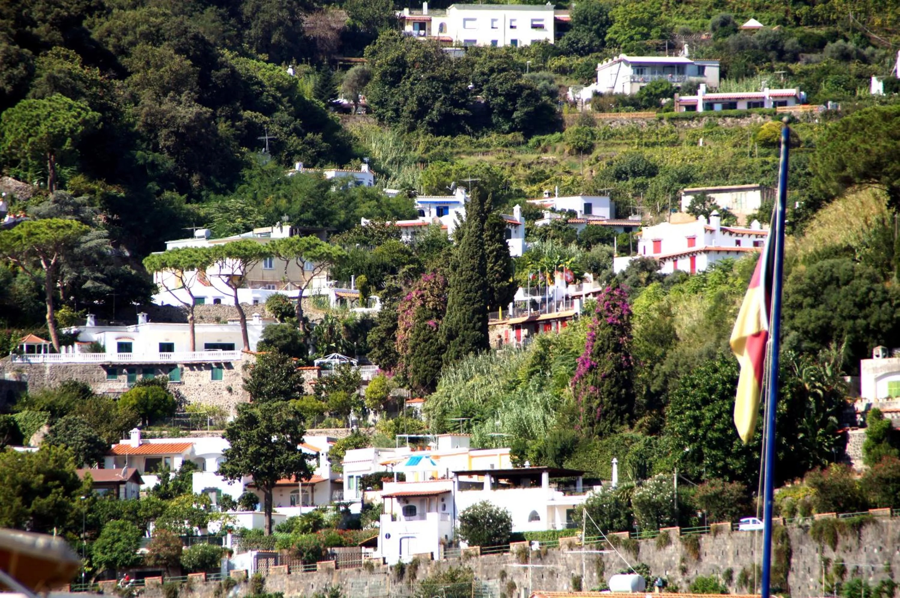 View (from property/room) in Hotel Don Pedro