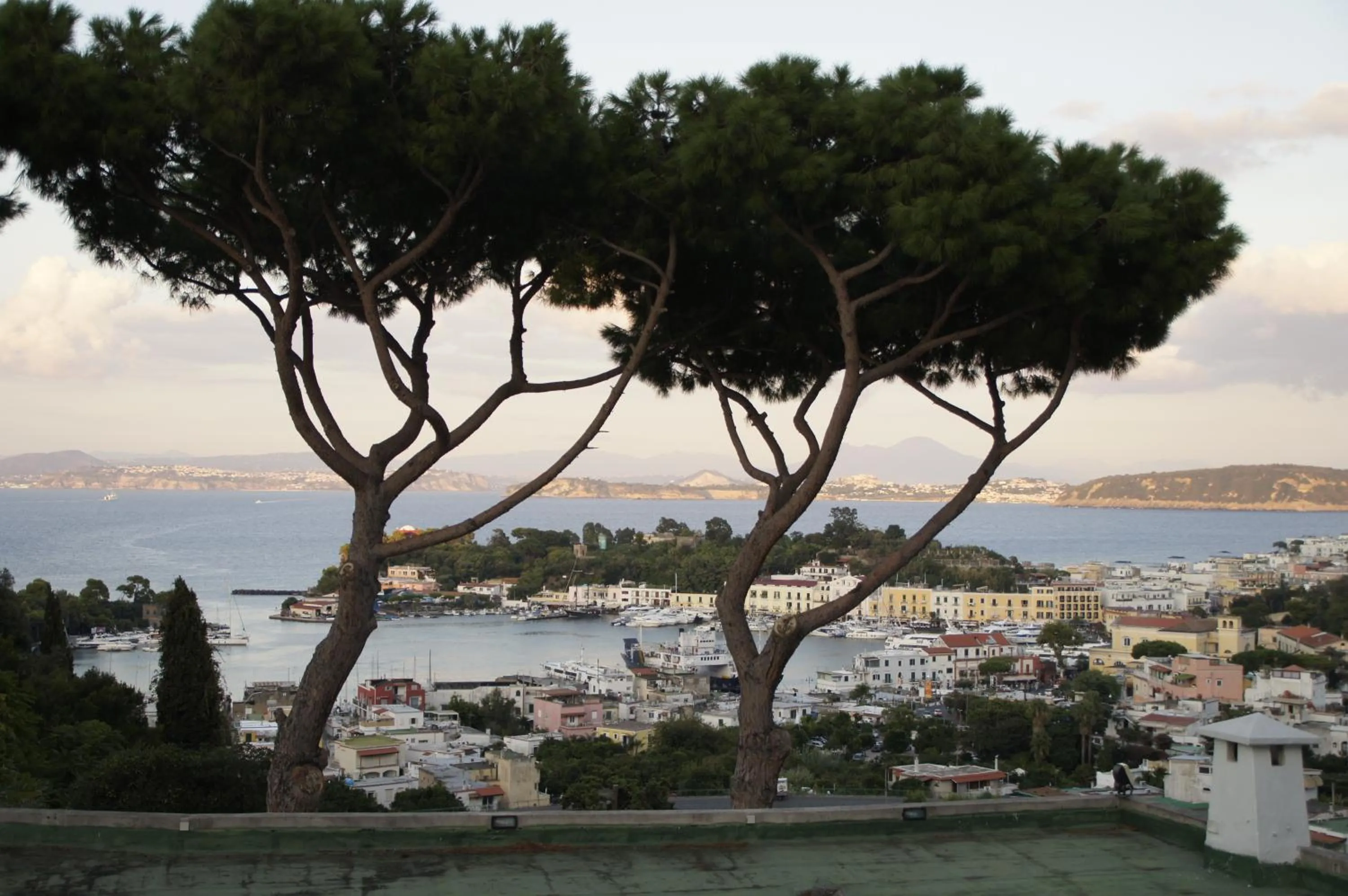 View (from property/room) in Hotel Don Pedro