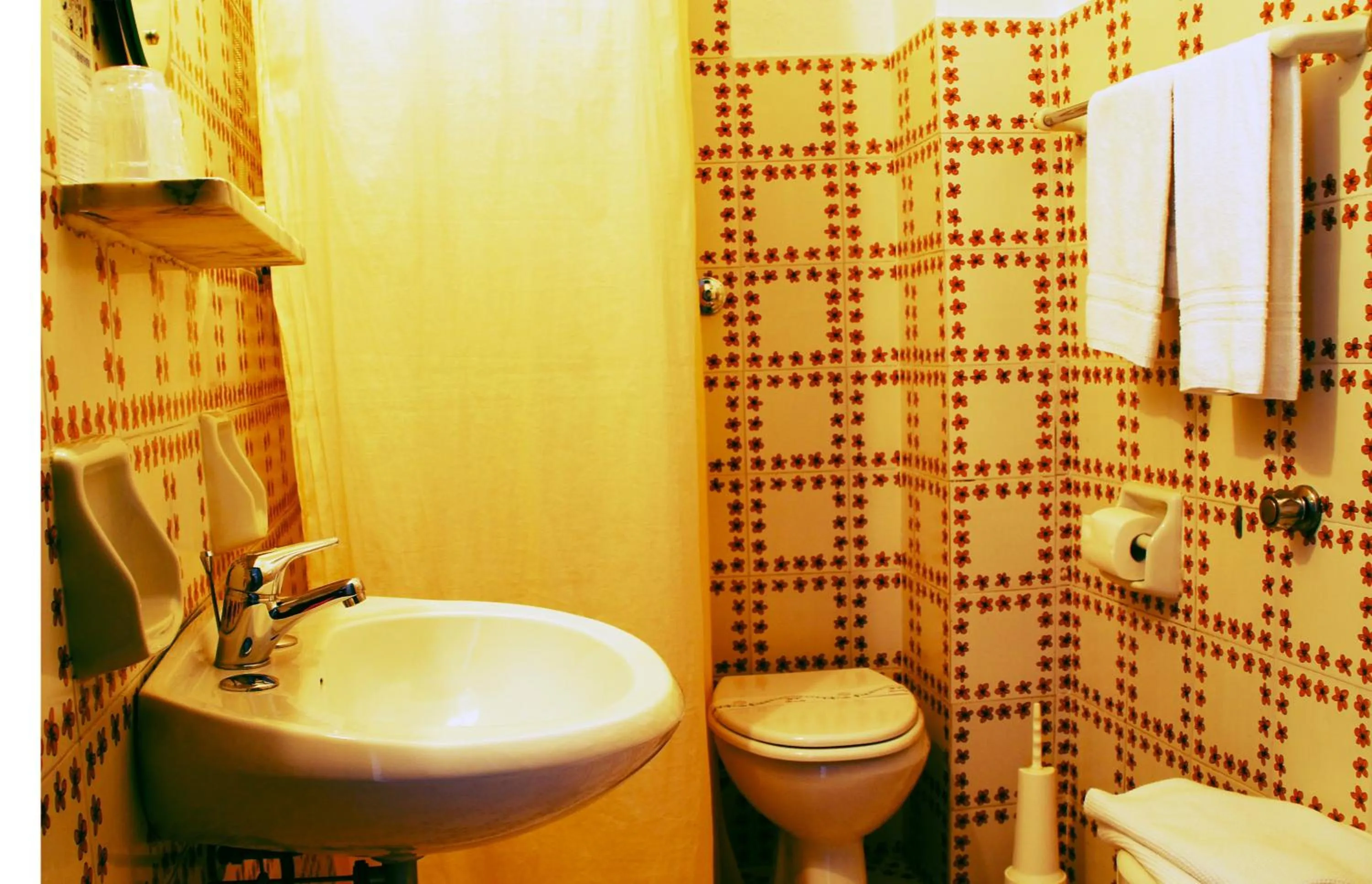 Toilet in Hotel Don Pedro