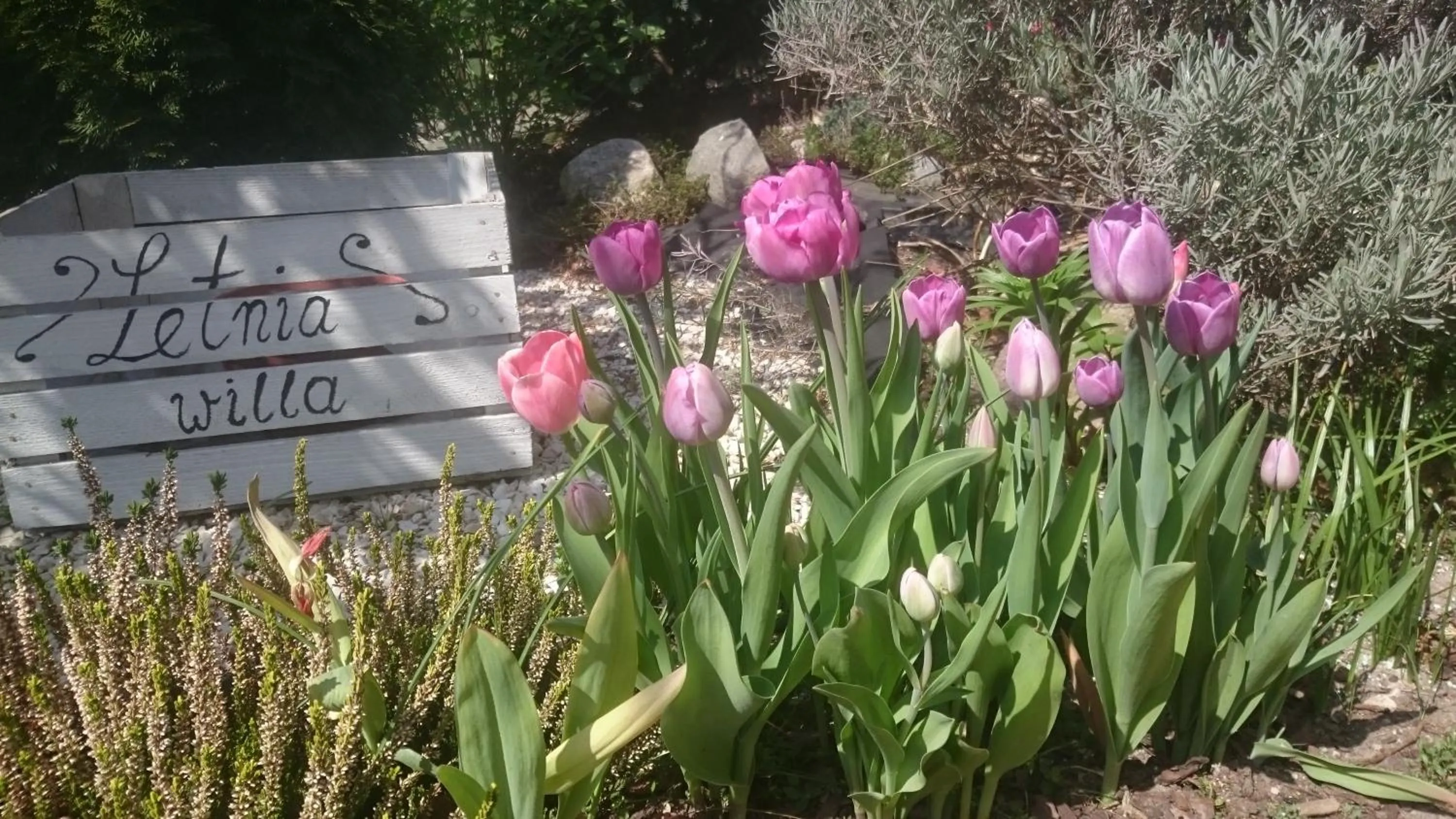 Spring in Letnia willa Jacuzzi & Sauna