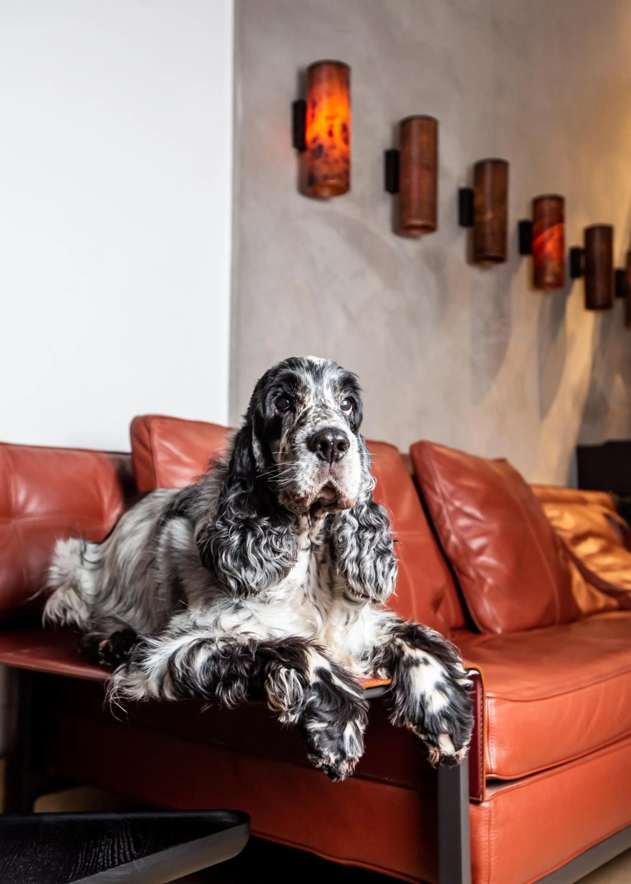 Pets in Milan Suite Hotel