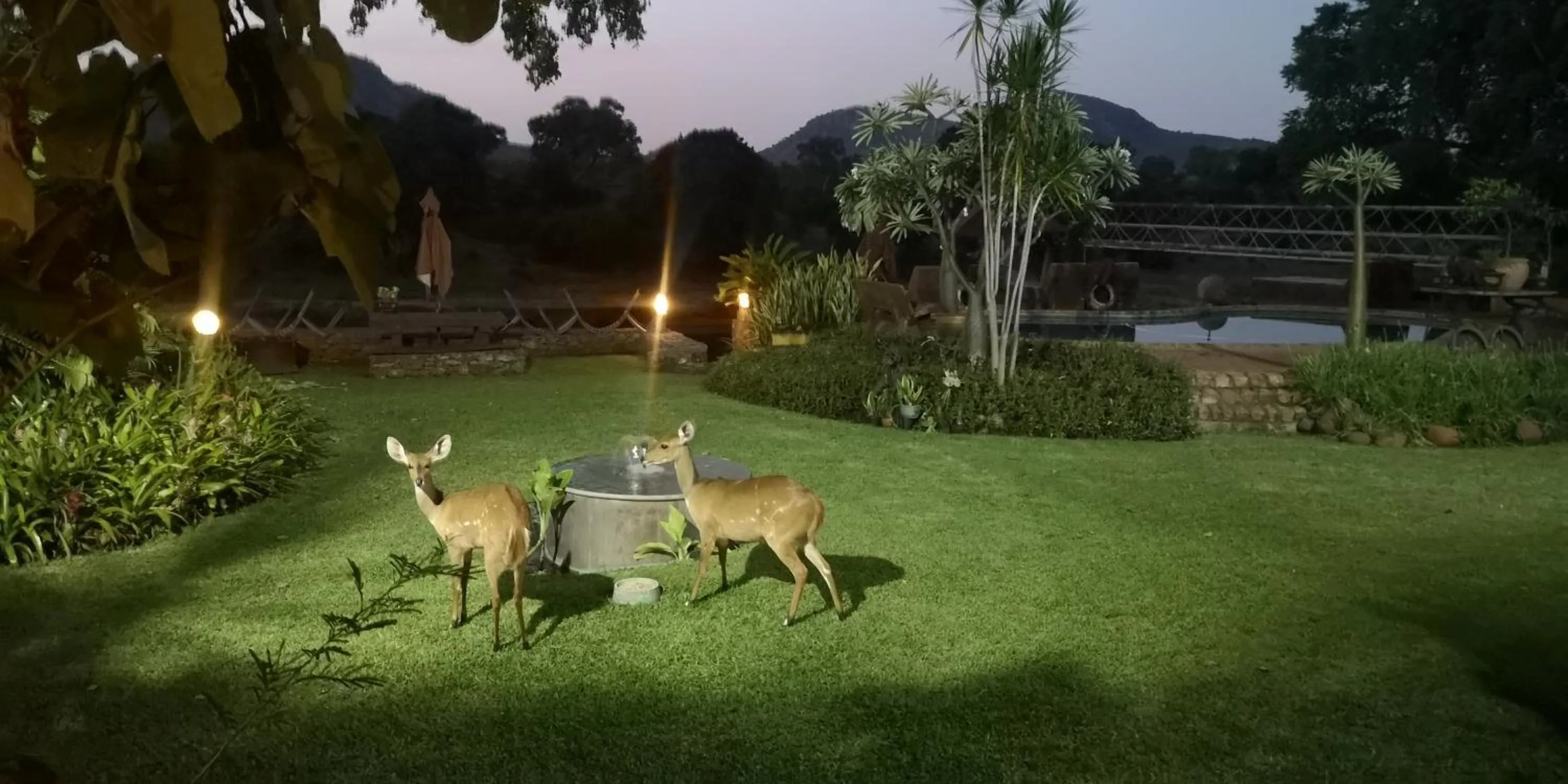 Night in River House Lodge